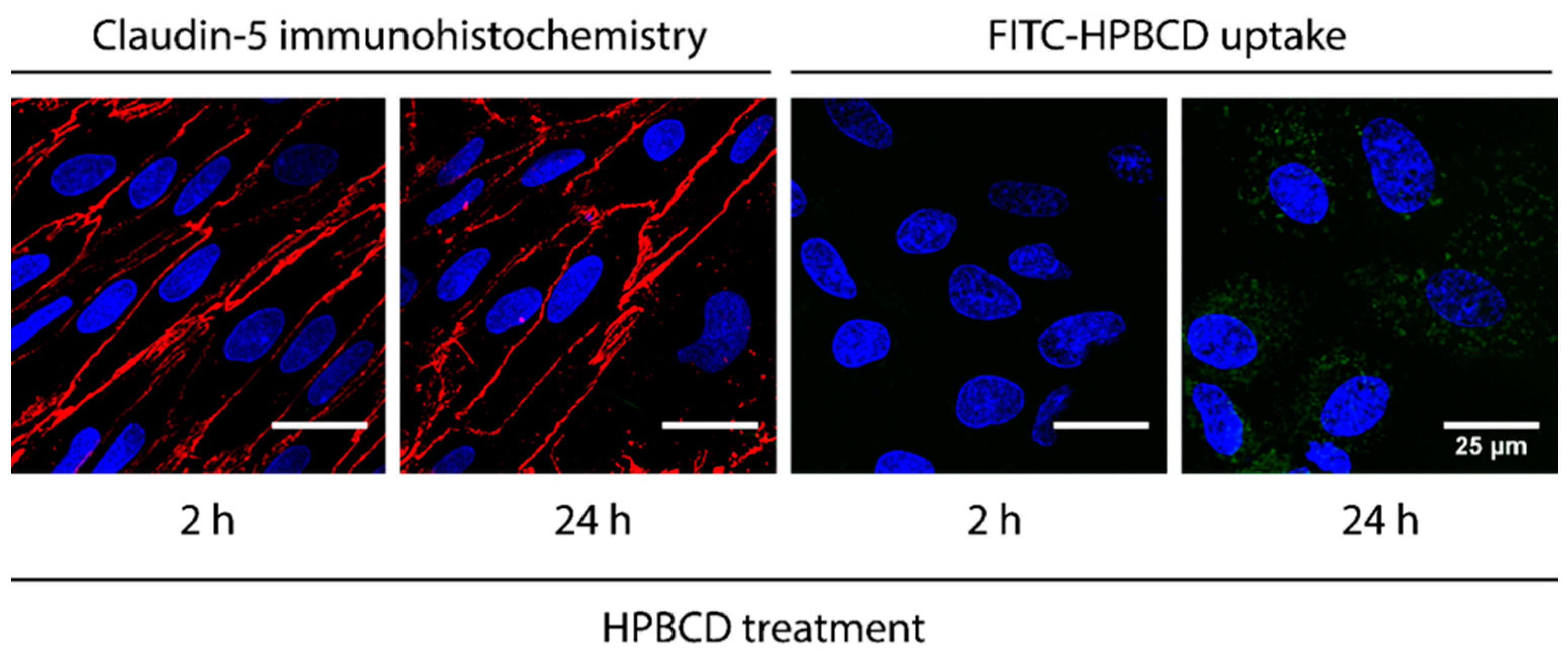 Molecules 27 07738 g005