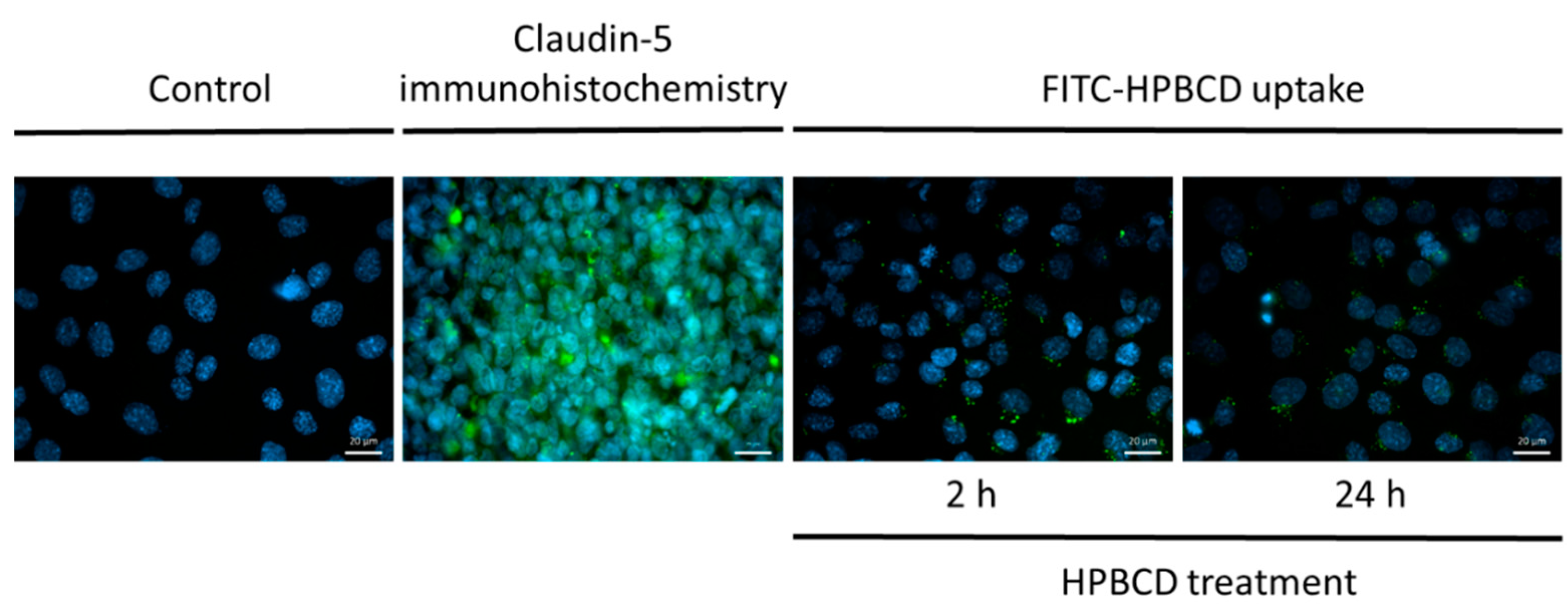 Molecules 27 07738 g006
