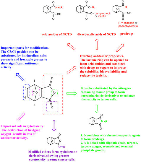 Strategies for Solubility and Bioavailability Enhancement