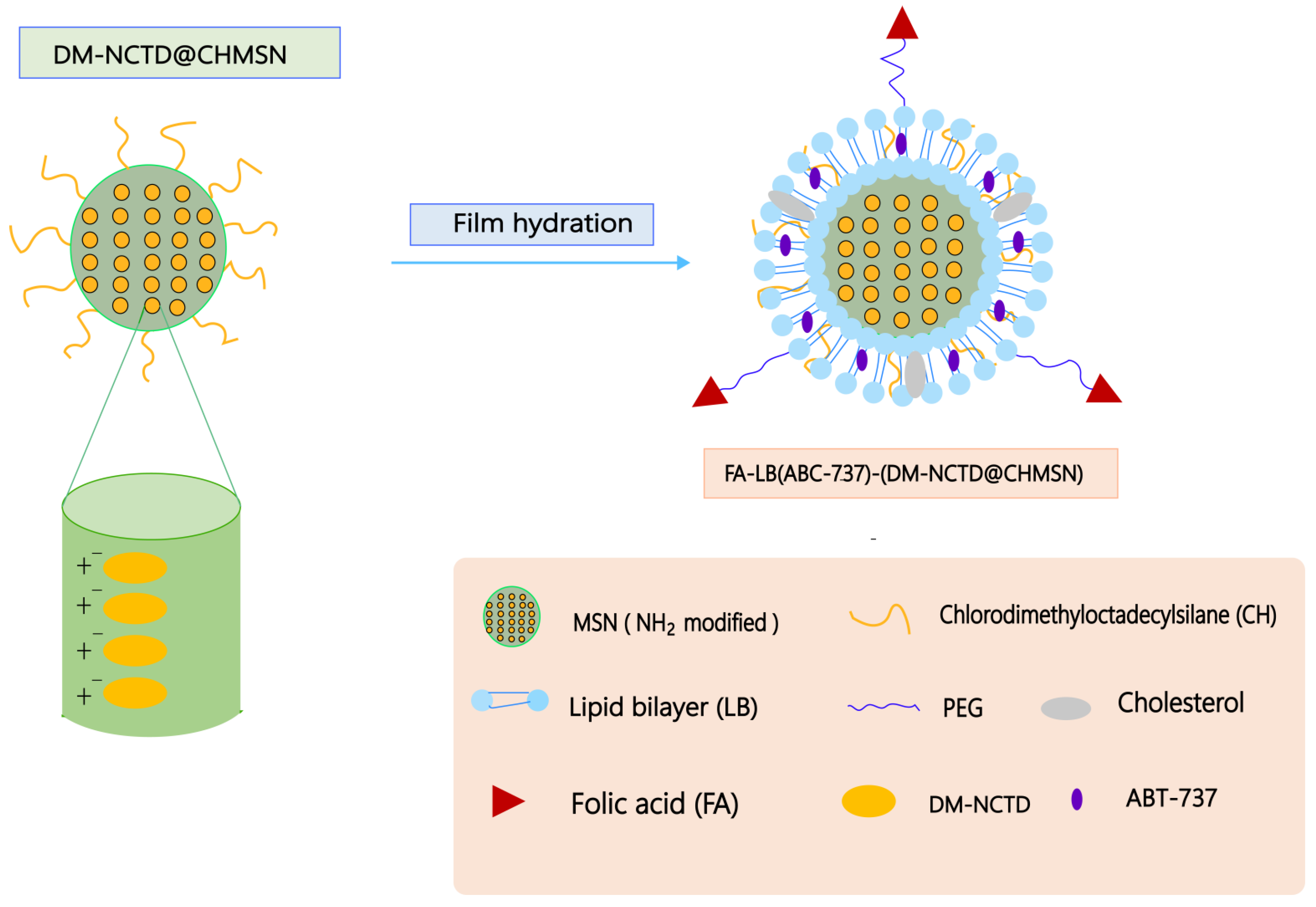 Molecules 27 07740 g010 Molecules 27 07740 g010