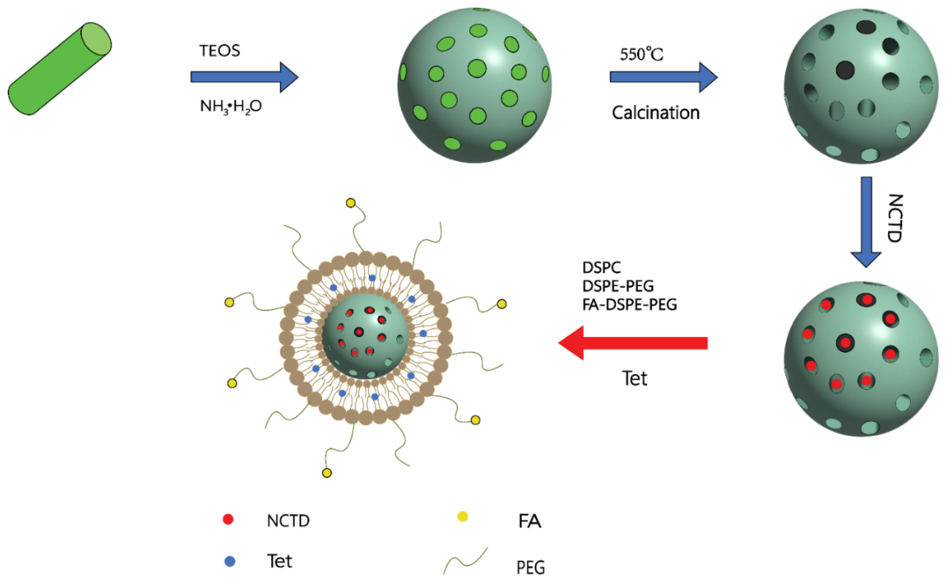 Molecules 27 07740 g011 Molecules 27 07740 g011