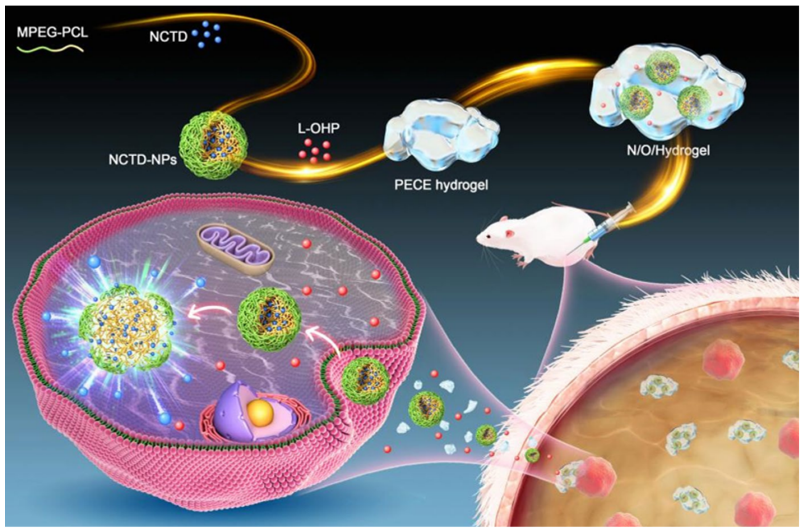 Molecules 27 07740 g012 Molecules 27 07740 g012