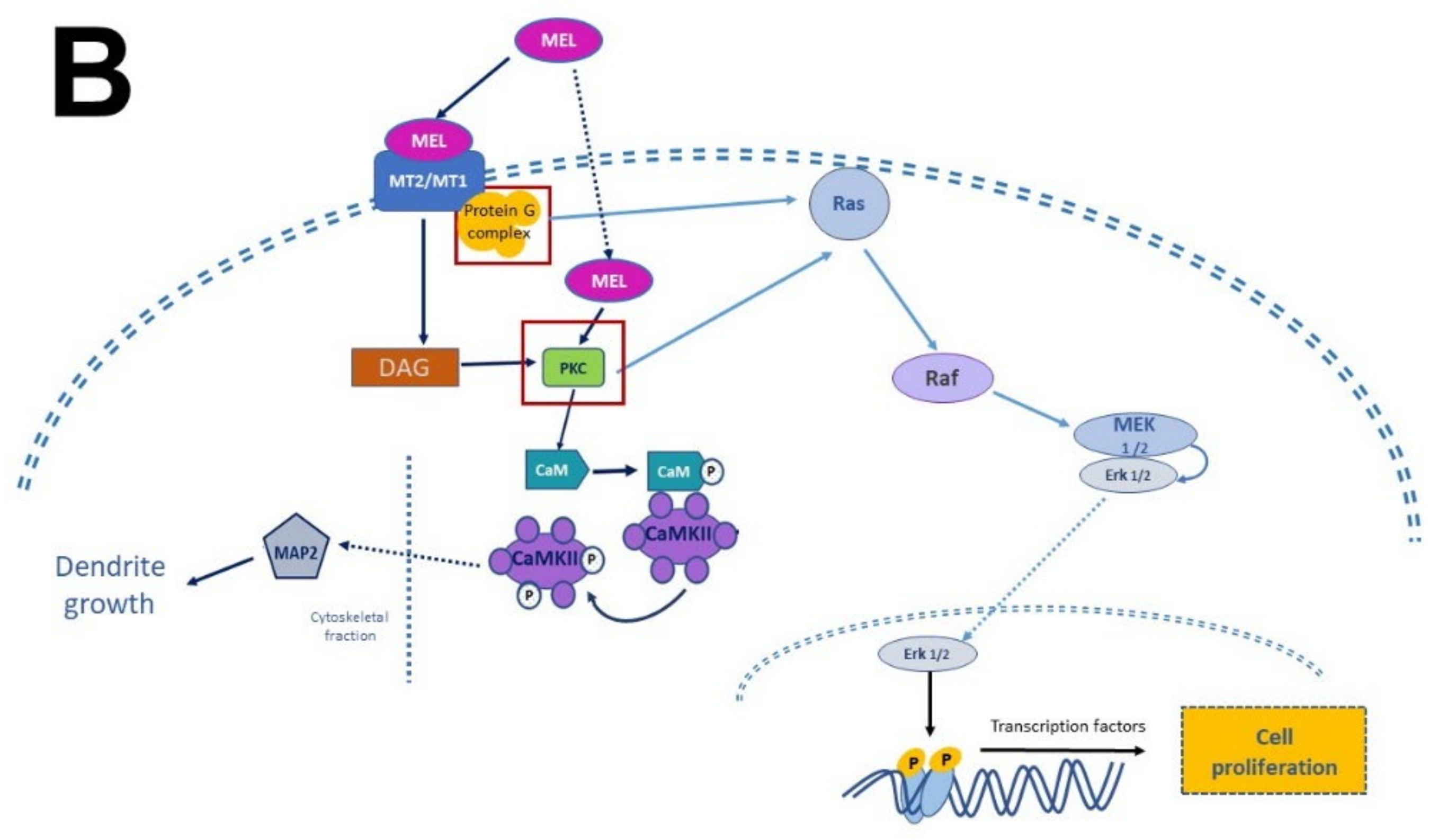 Molecules 27 07742 g004b Molecules 27 07742 g004b