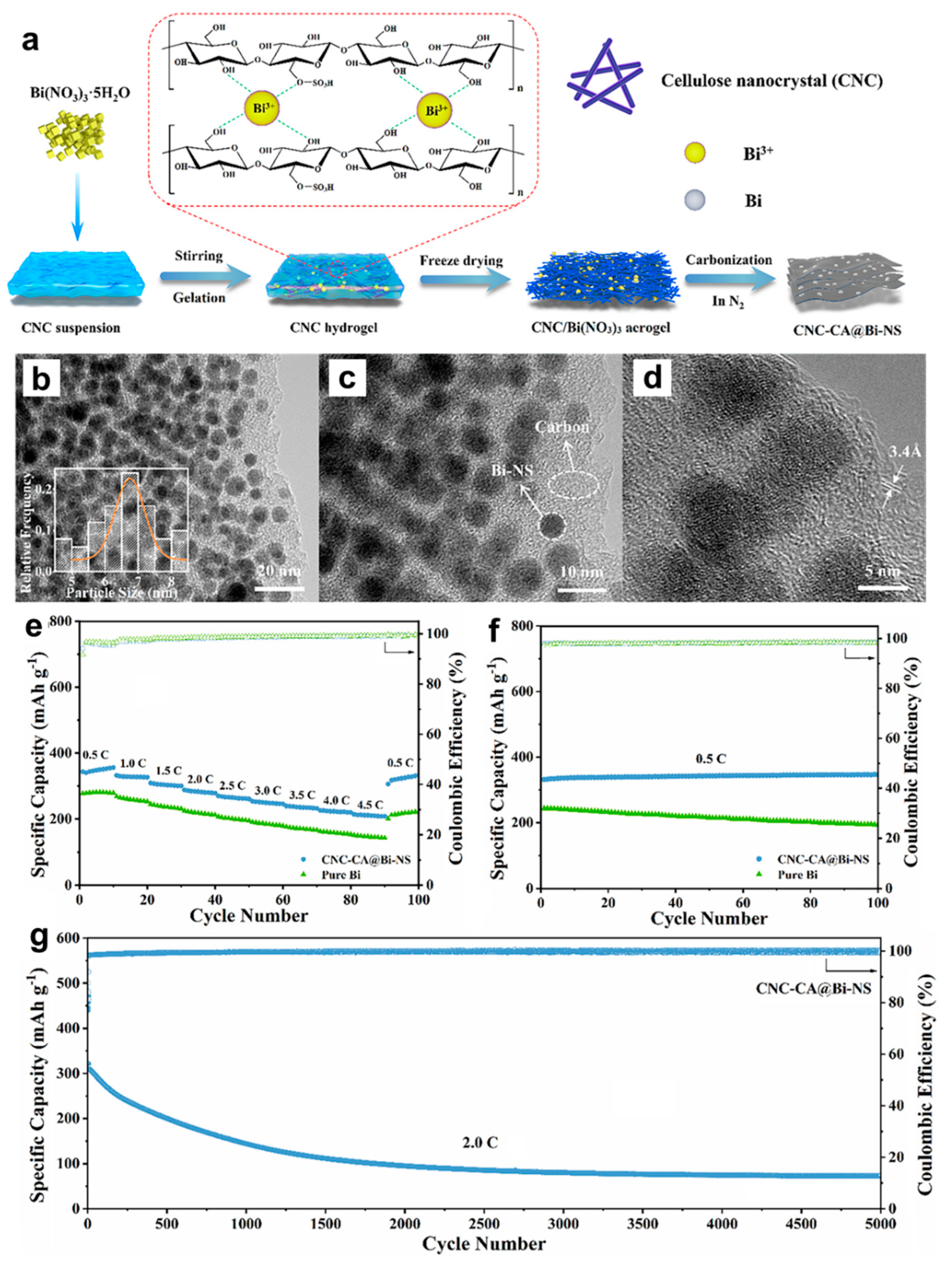 Molecules 27 07751 g007