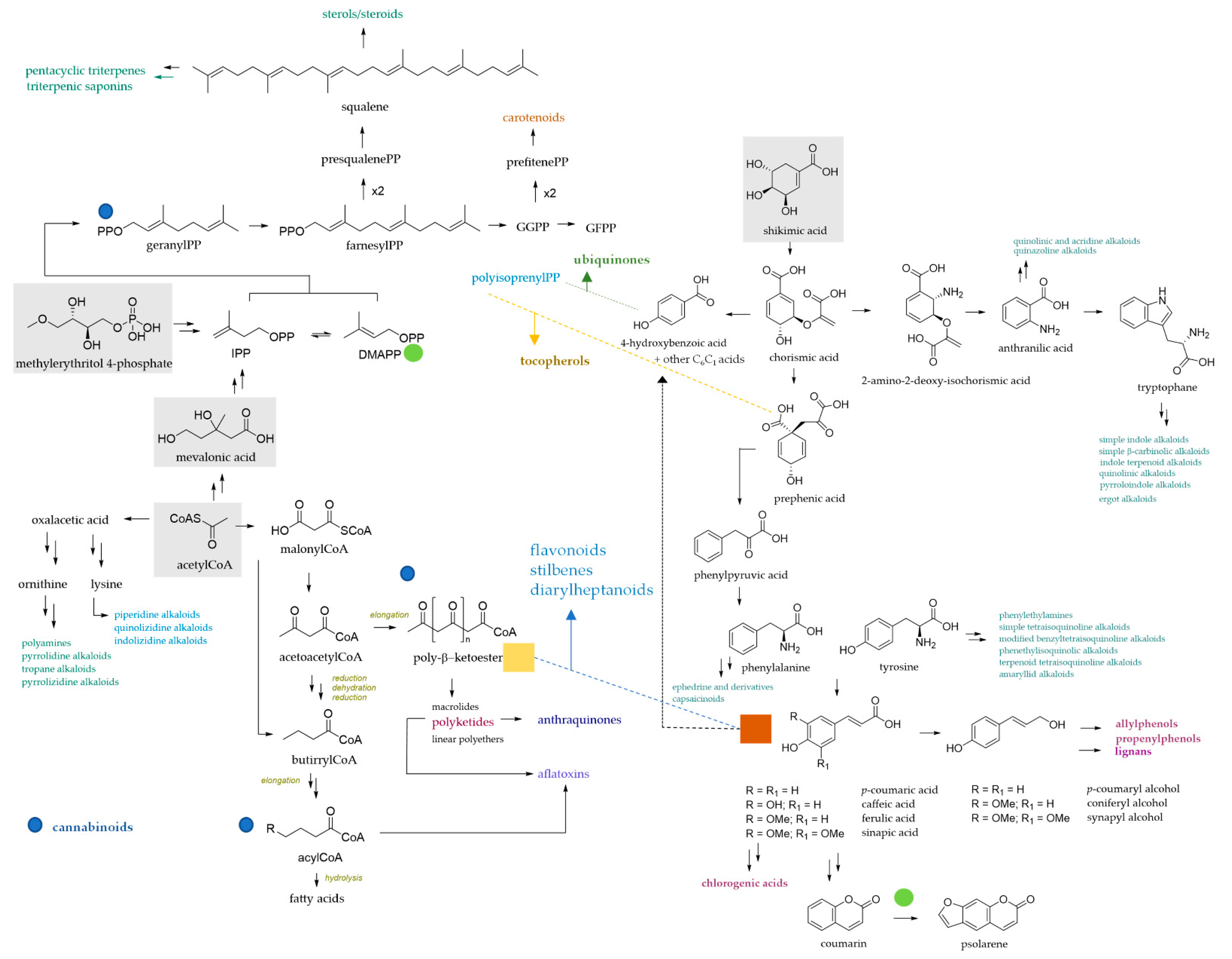 Molecules 27 07752 g001