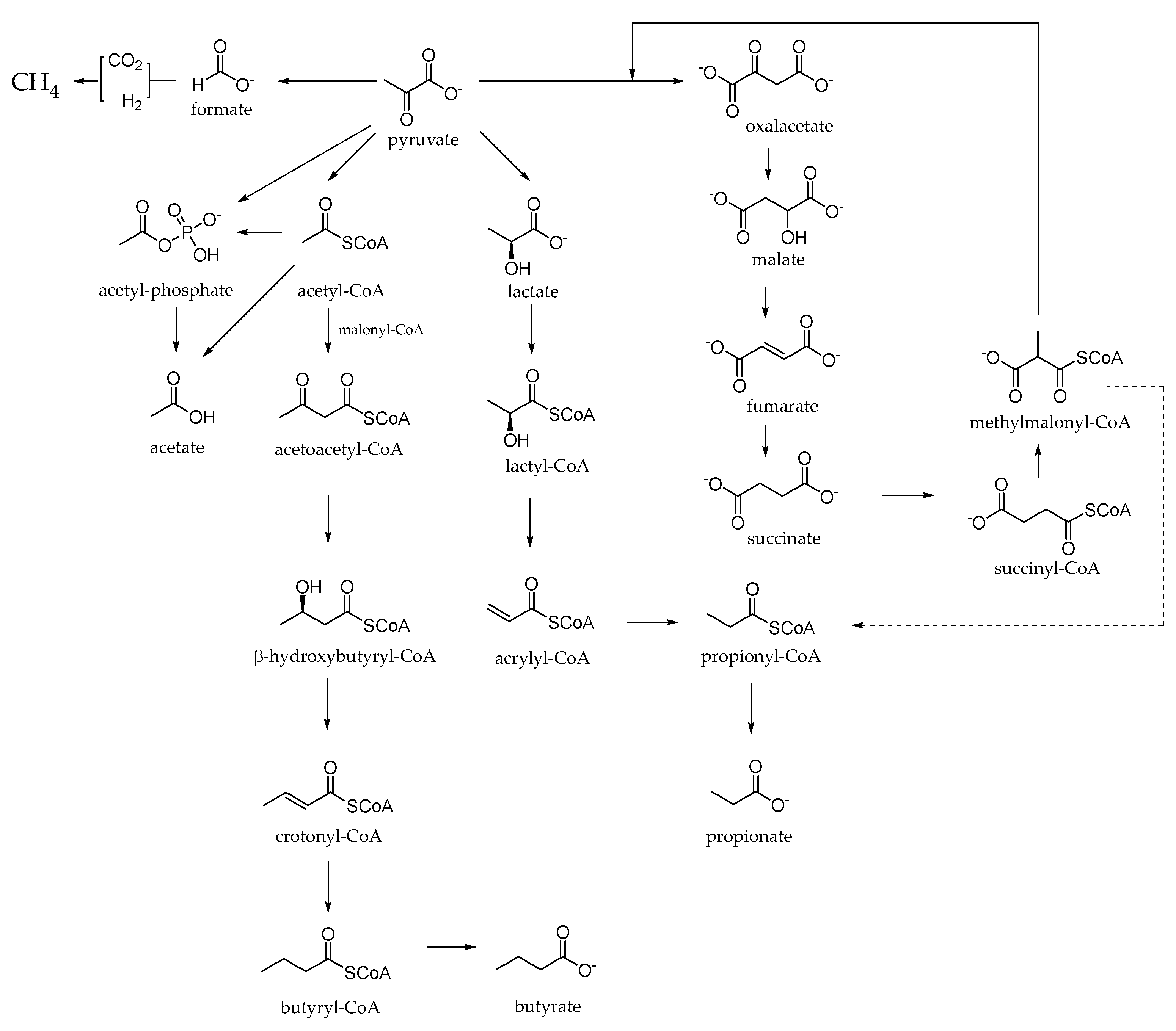 Molecules 27 07752 g003