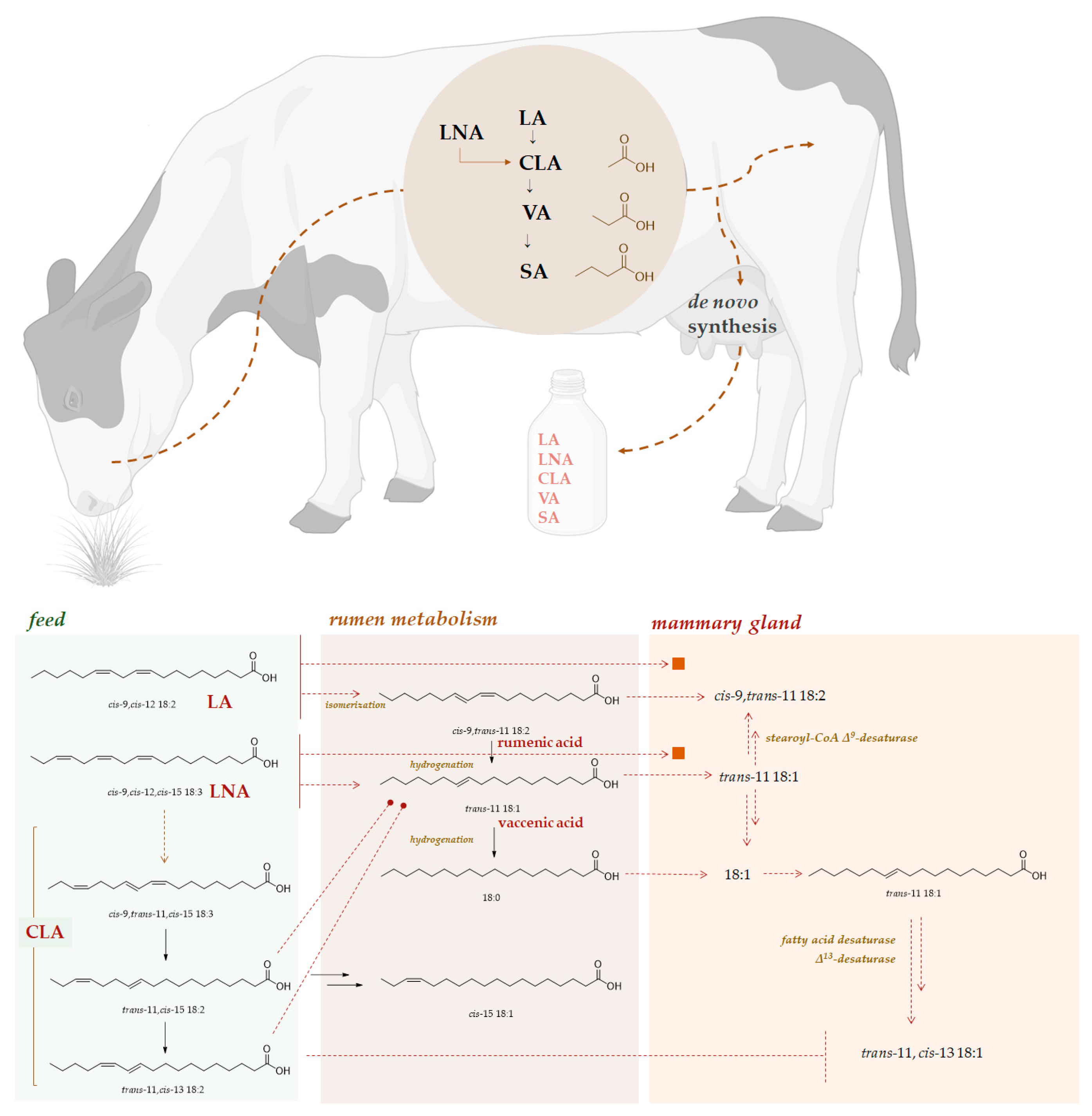 Molecules 27 07752 g007