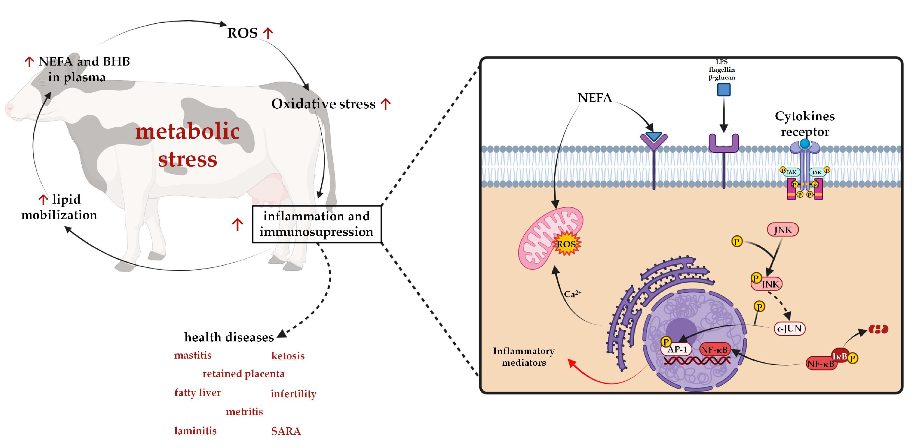 Molecules 27 07752 g008