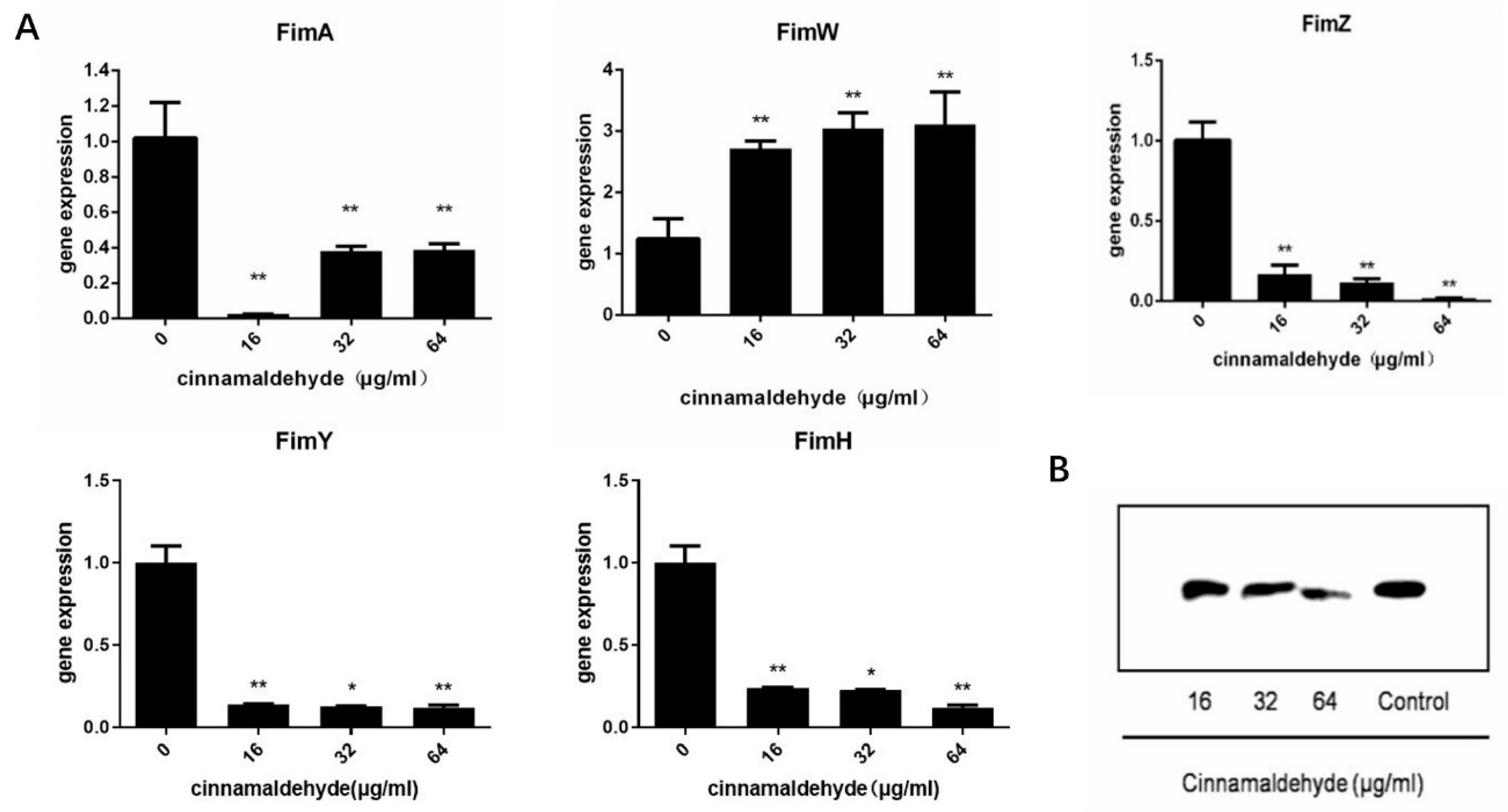 Molecules 27 07753 g002 Molecules 27 07753 g002