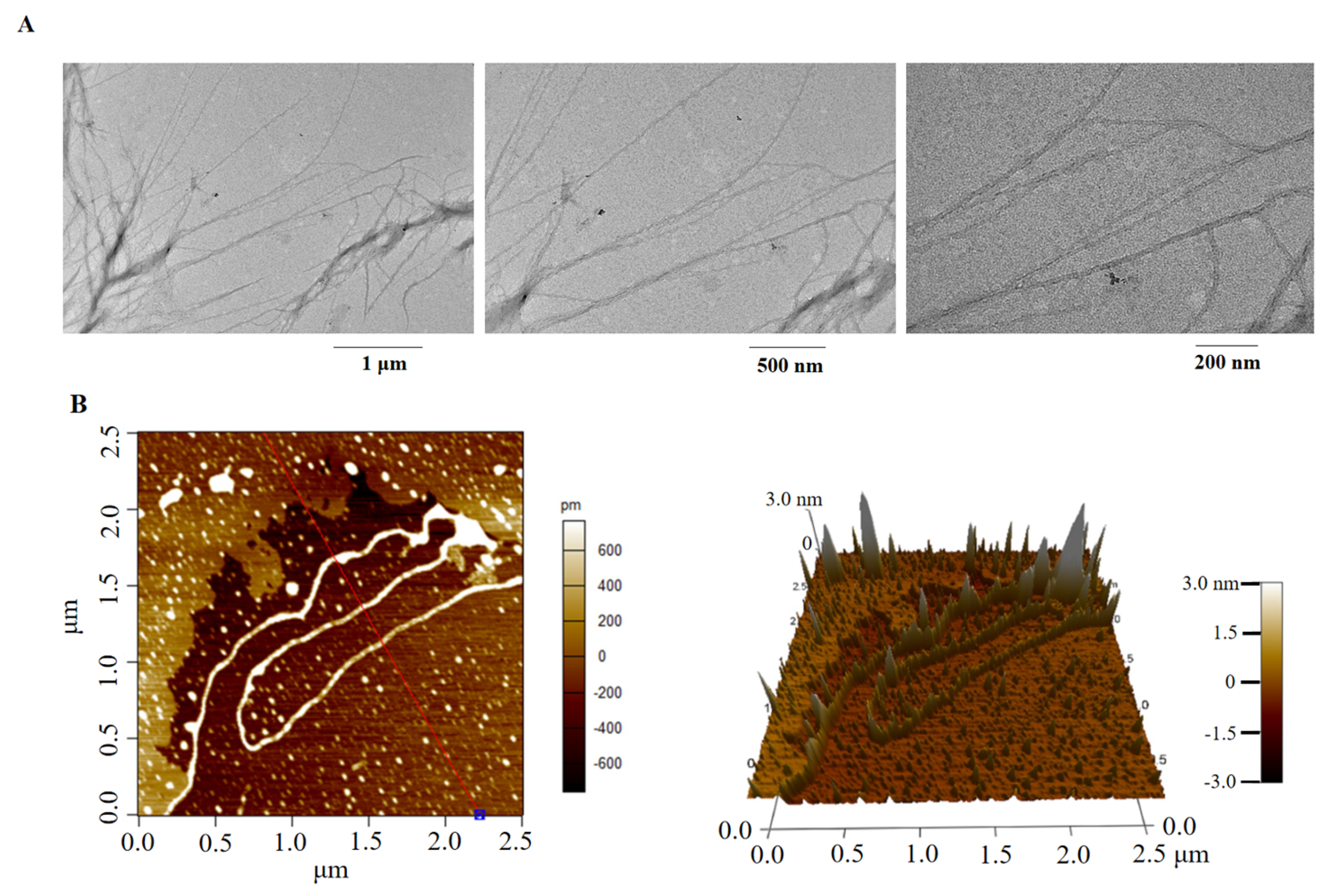 Molecules 27 07756 g006 Molecules 27 07756 g006