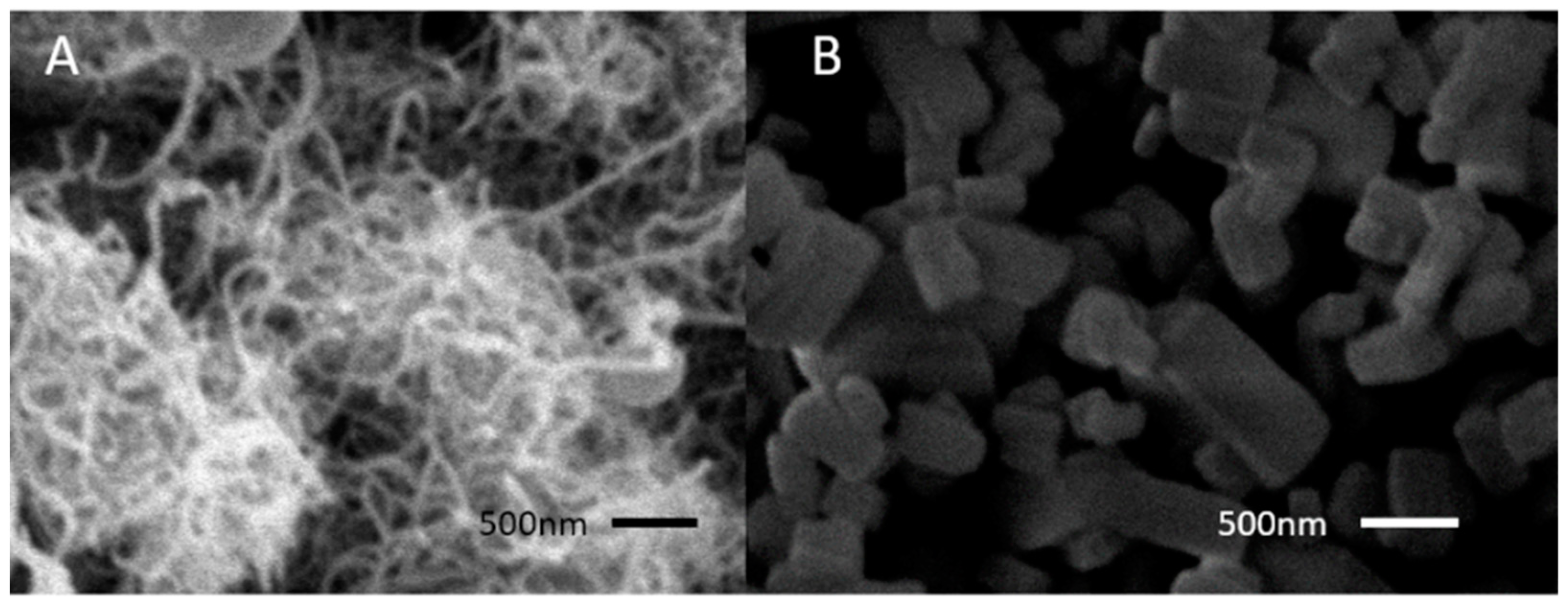 Molecules 27 07761 g001