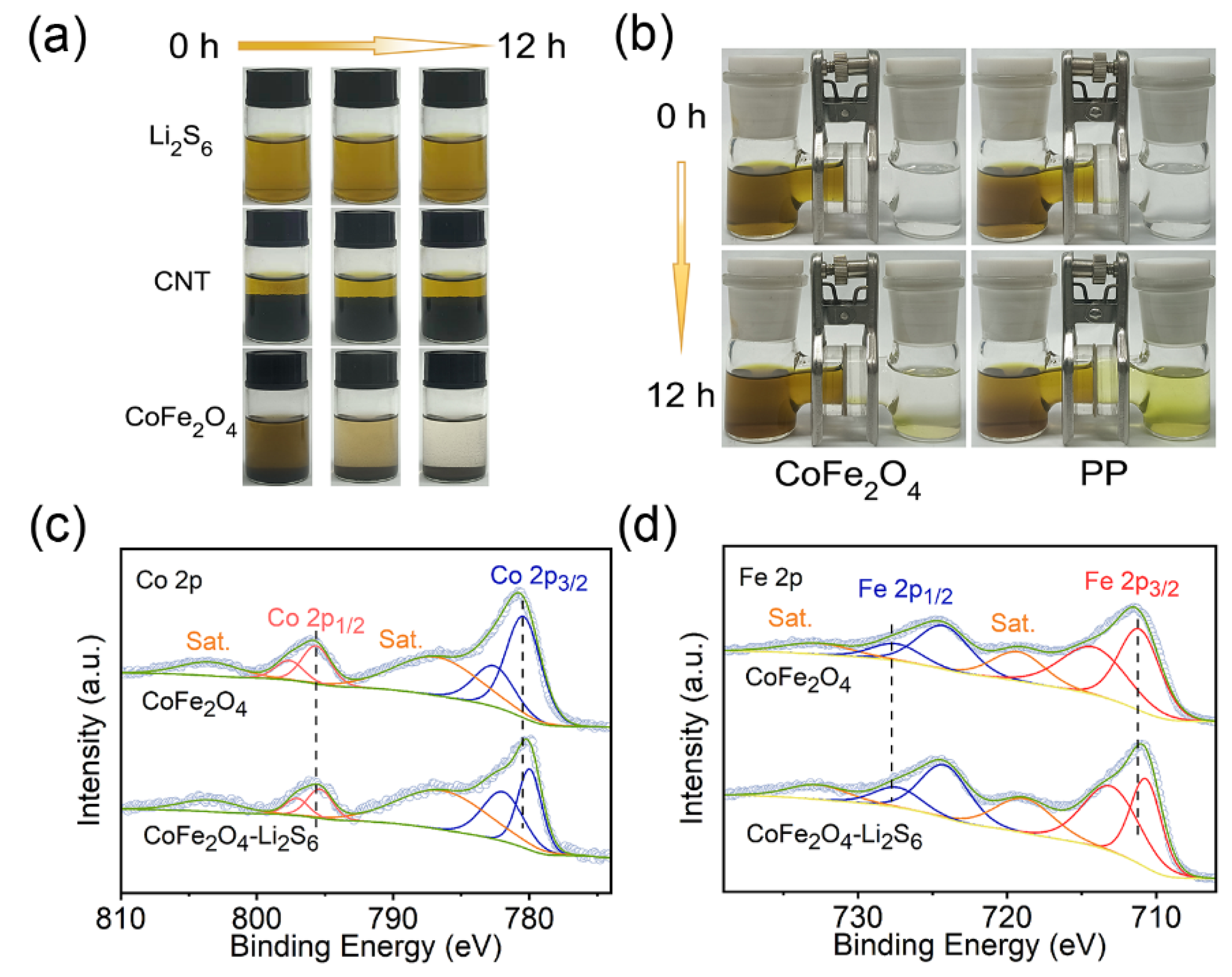 Molecules 27 07762 g002 Molecules 27 07762 g002