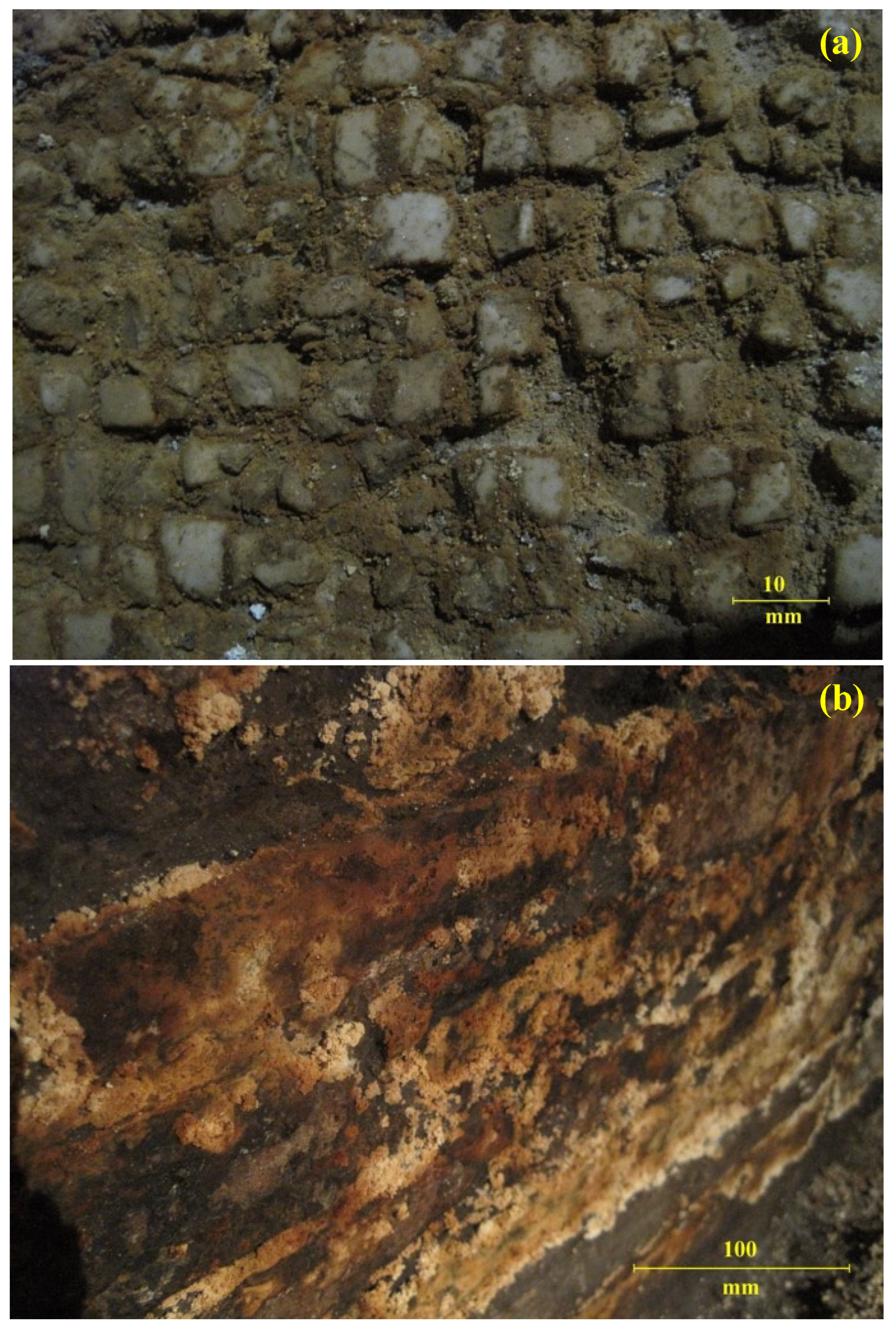 Molecules 27 07765 g002a