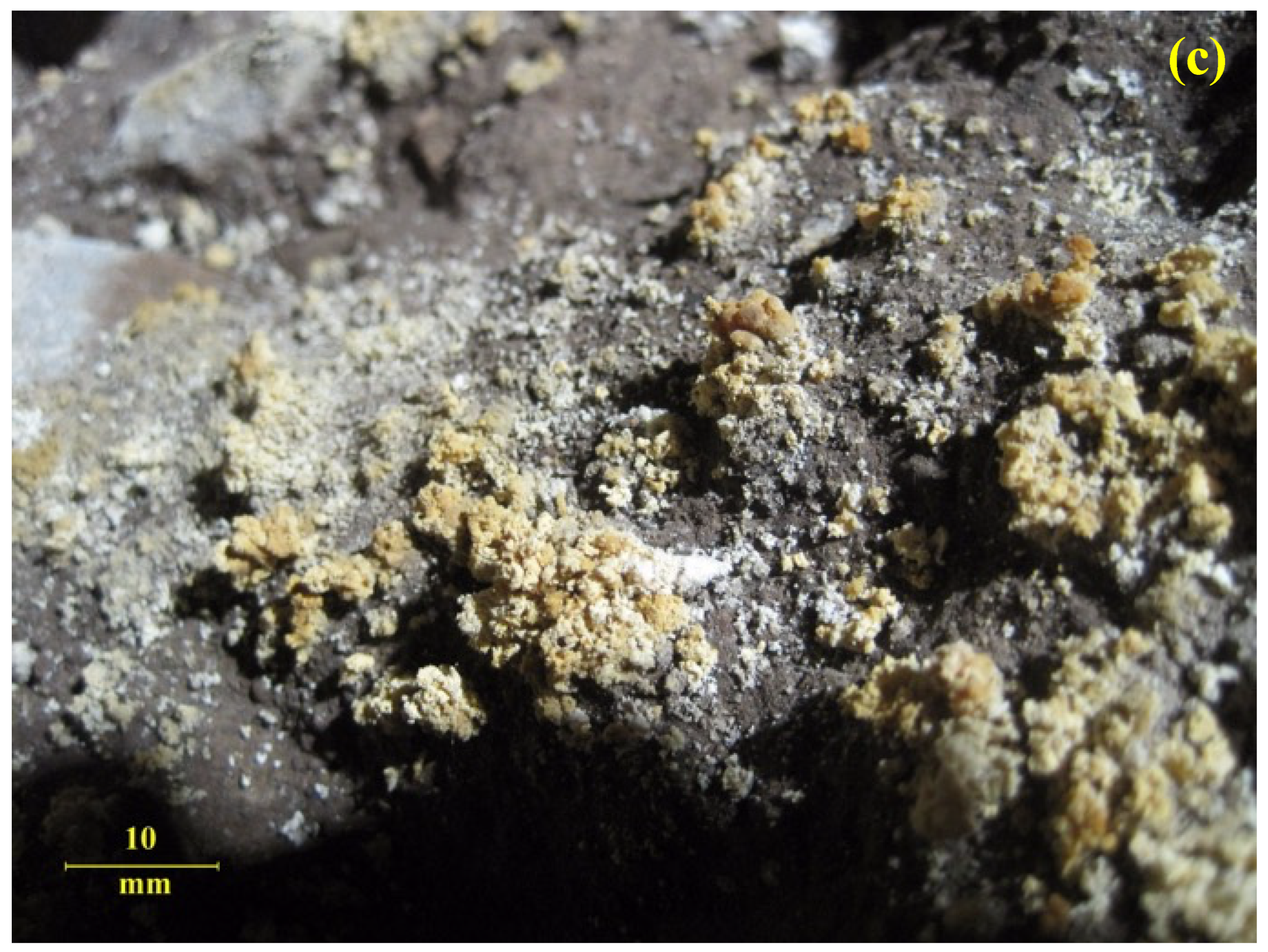 Molecules 27 07765 g002b