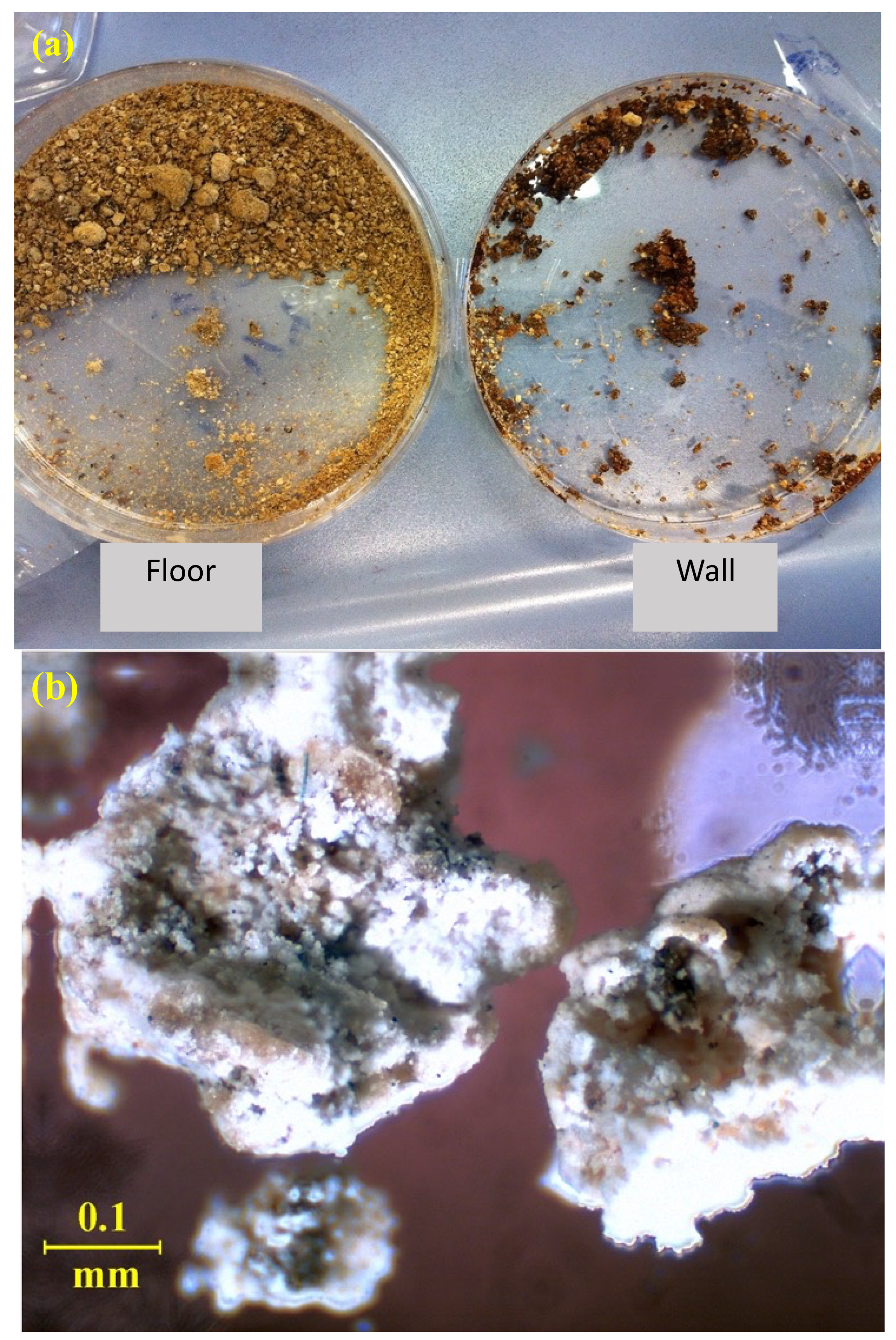 Molecules 27 07765 g003