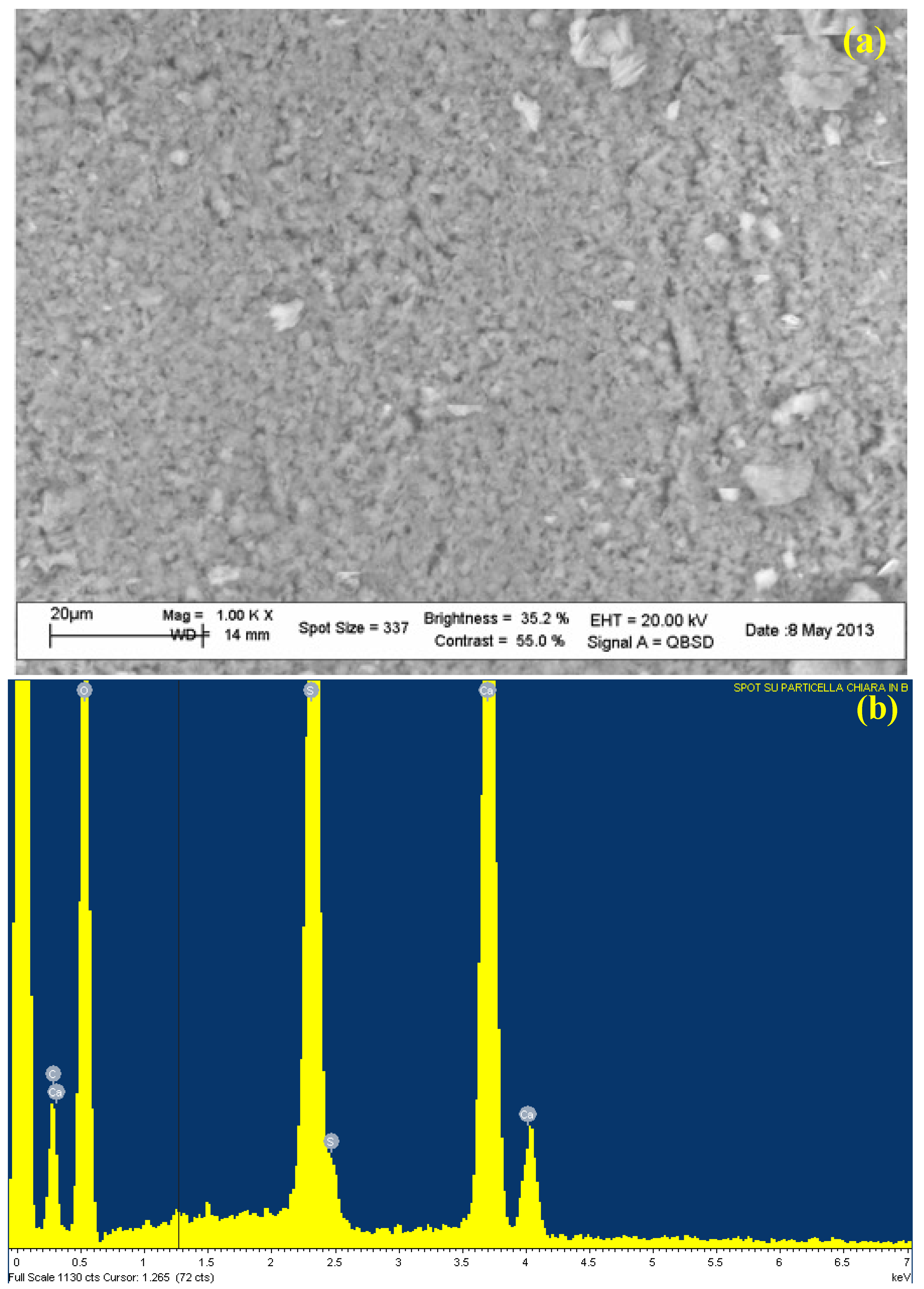 Molecules 27 07765 g006
