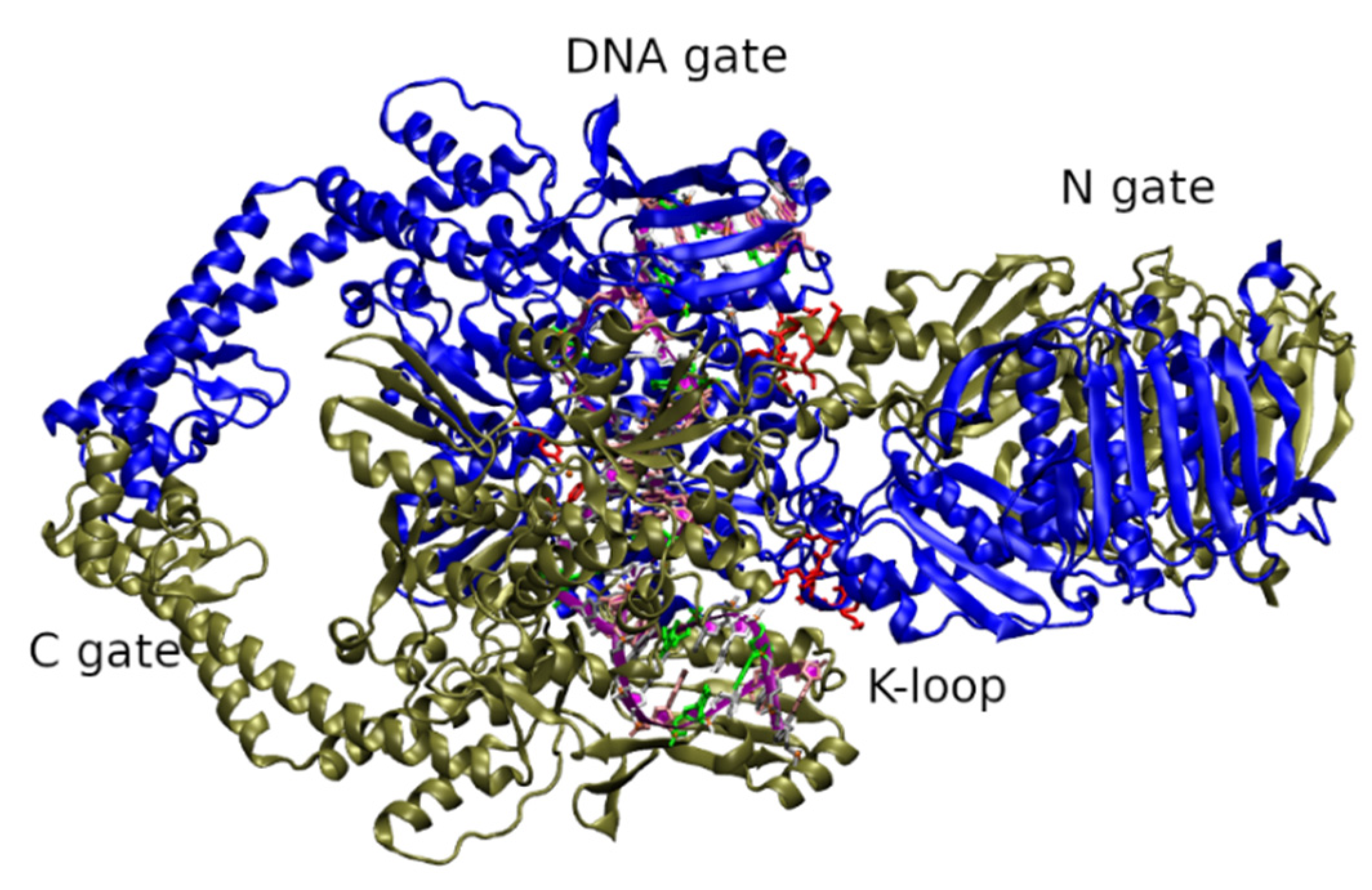 Molecules 27 07768 g002 Molecules 27 07768 g002