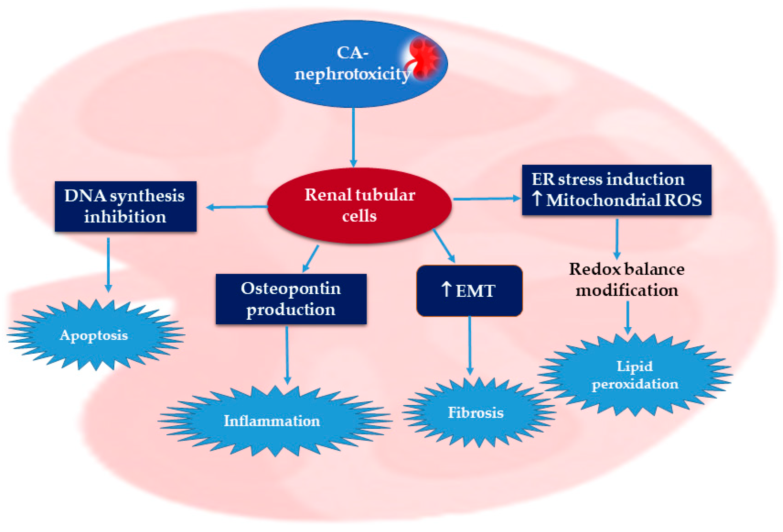 Molecules 27 07771 g001