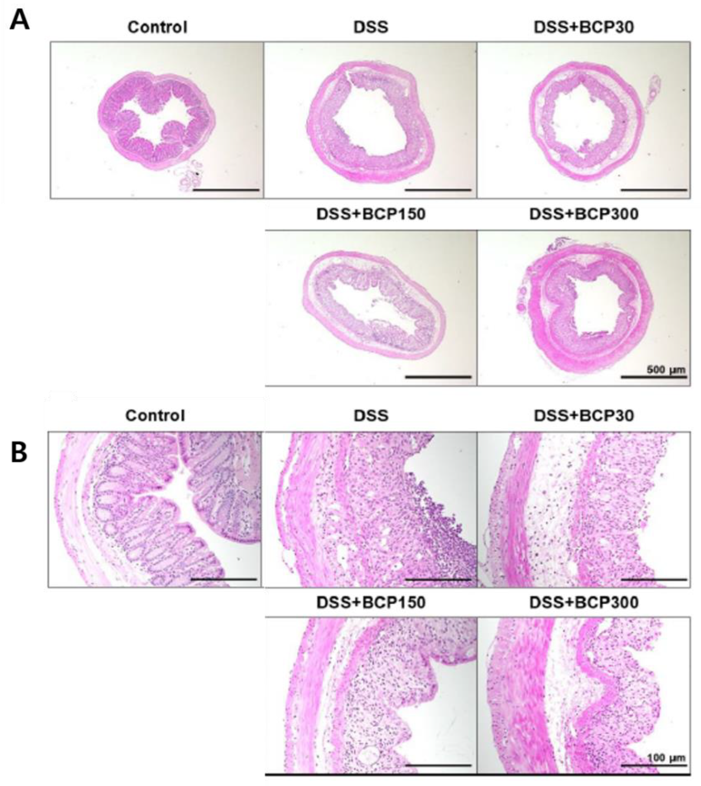 Molecules 27 07782 g004 Molecules 27 07782 g004