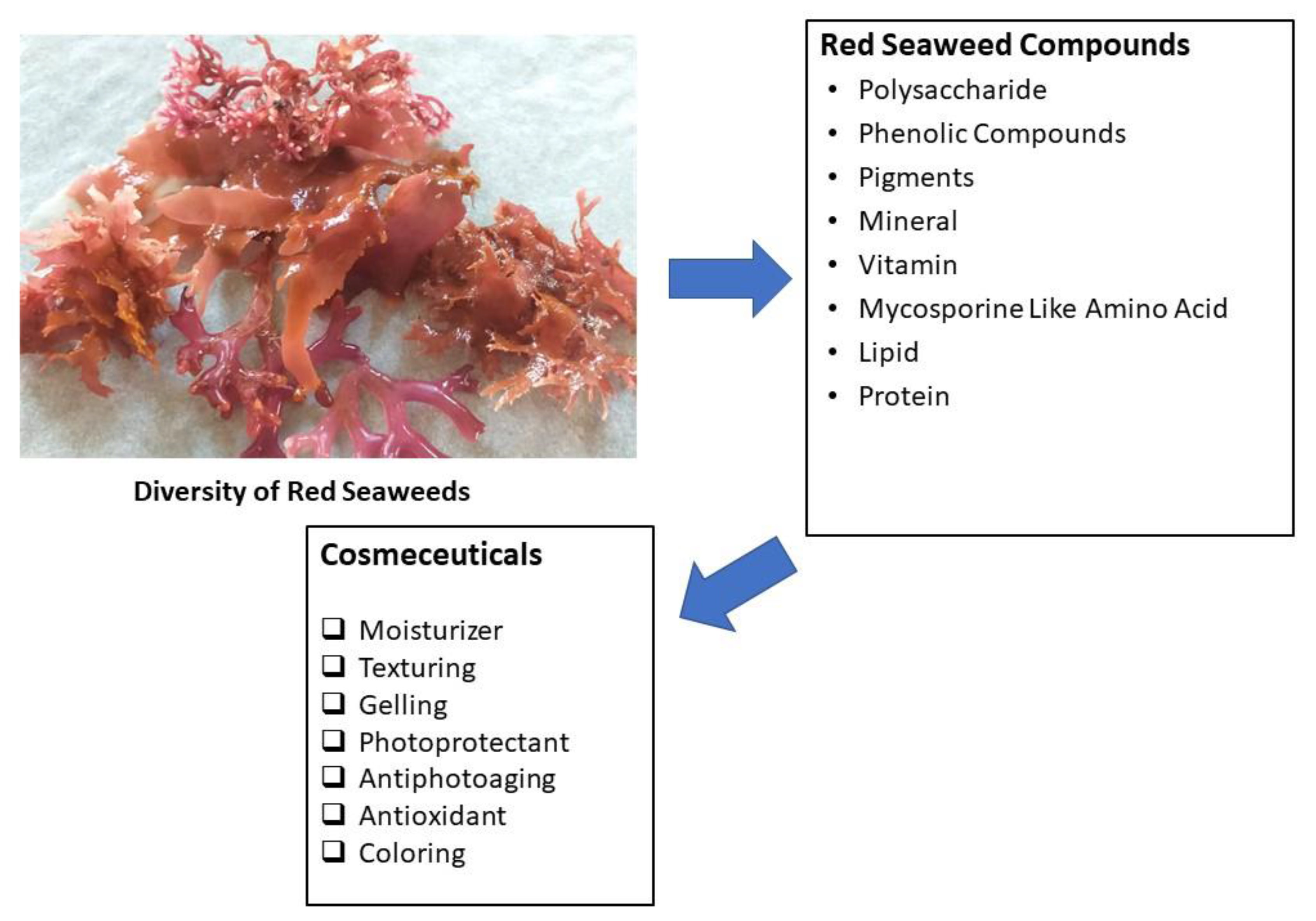 Molecules 27 07788 g003