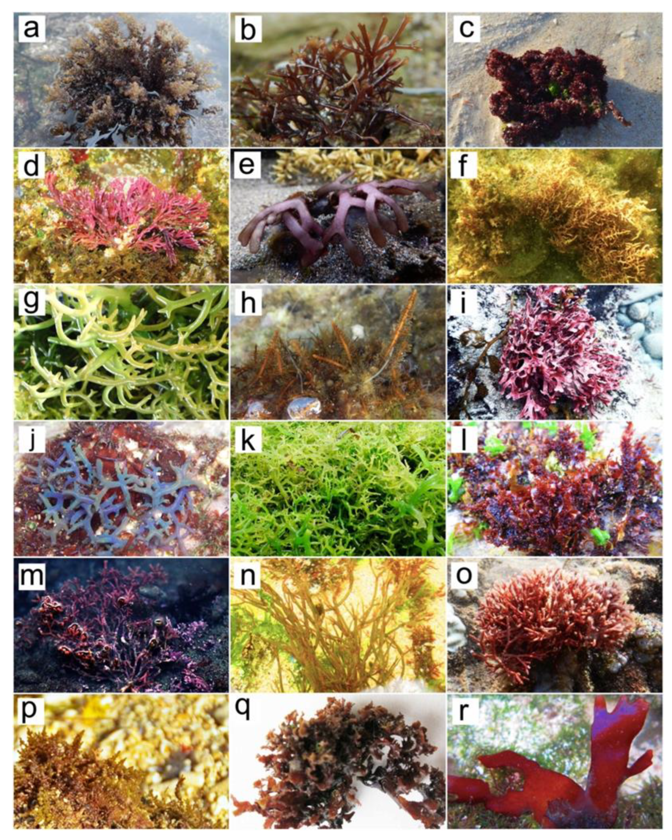 Molecules 27 07788 g007