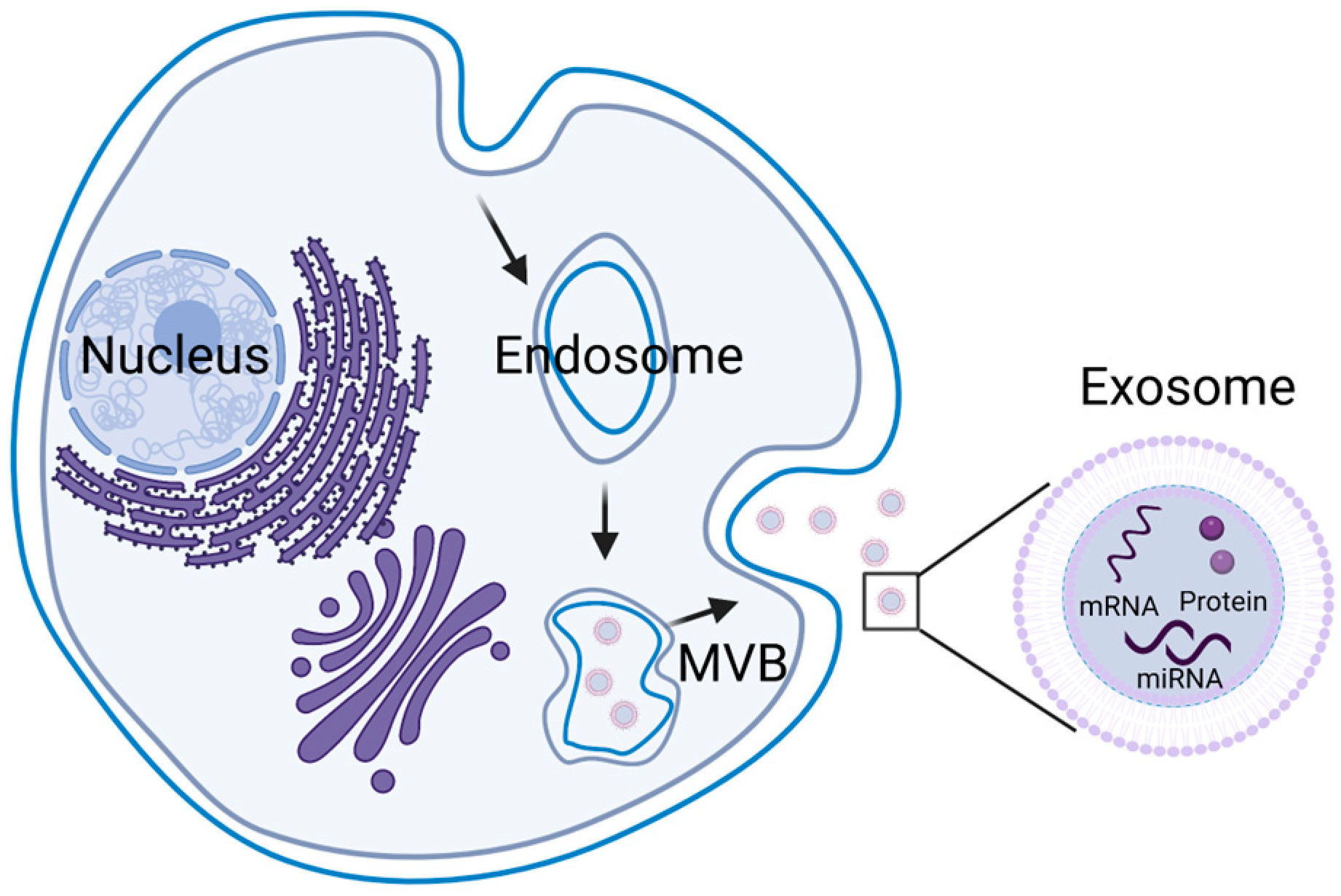 Molecules 27 07789 g001 Molecules 27 07789 g001