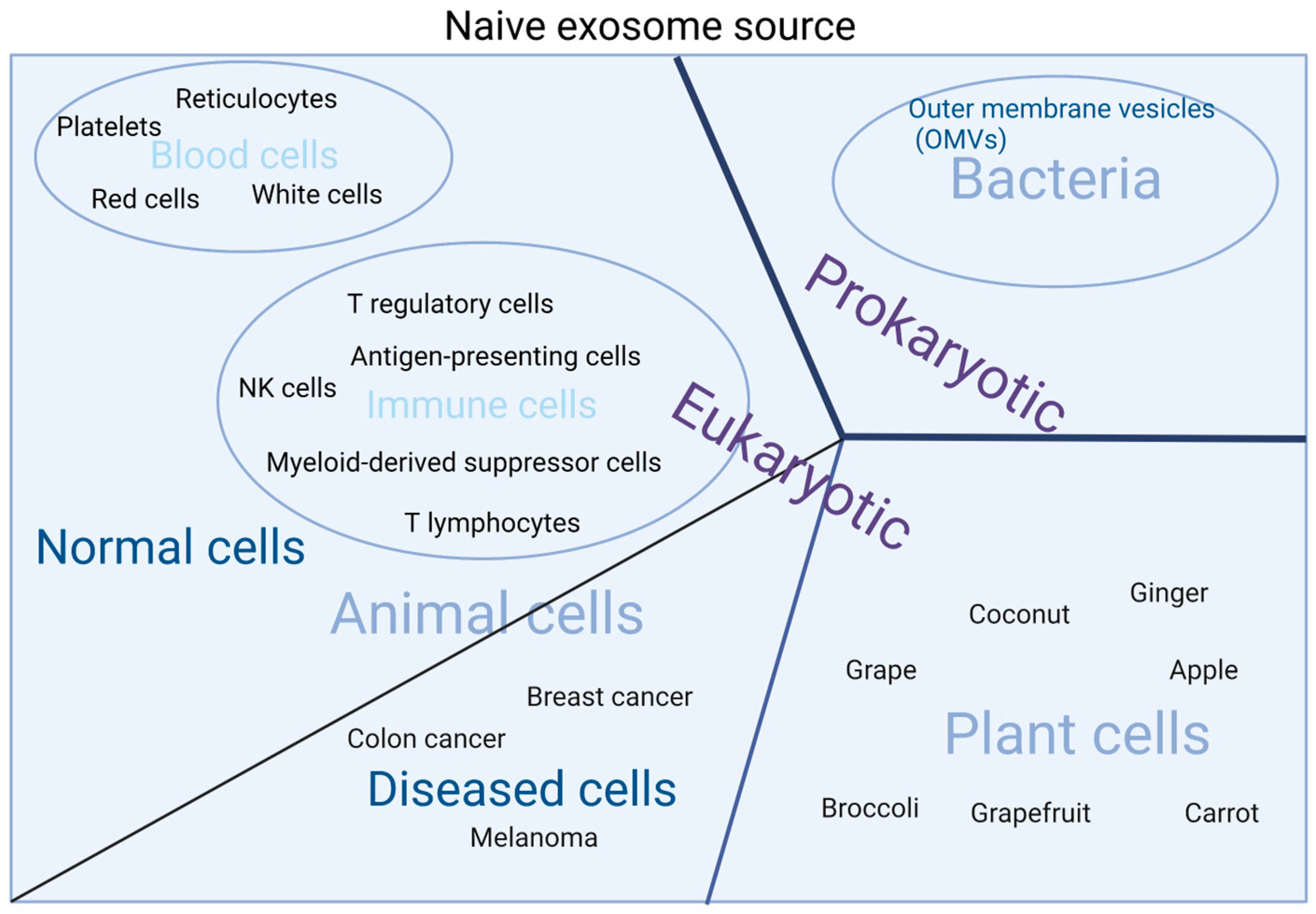 Molecules 27 07789 g002 Molecules 27 07789 g002