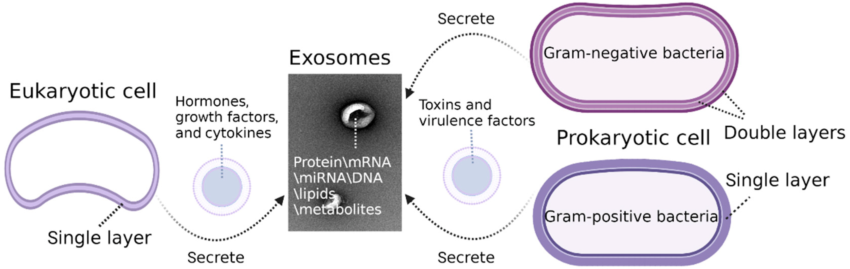 Molecules 27 07789 g003 Molecules 27 07789 g003