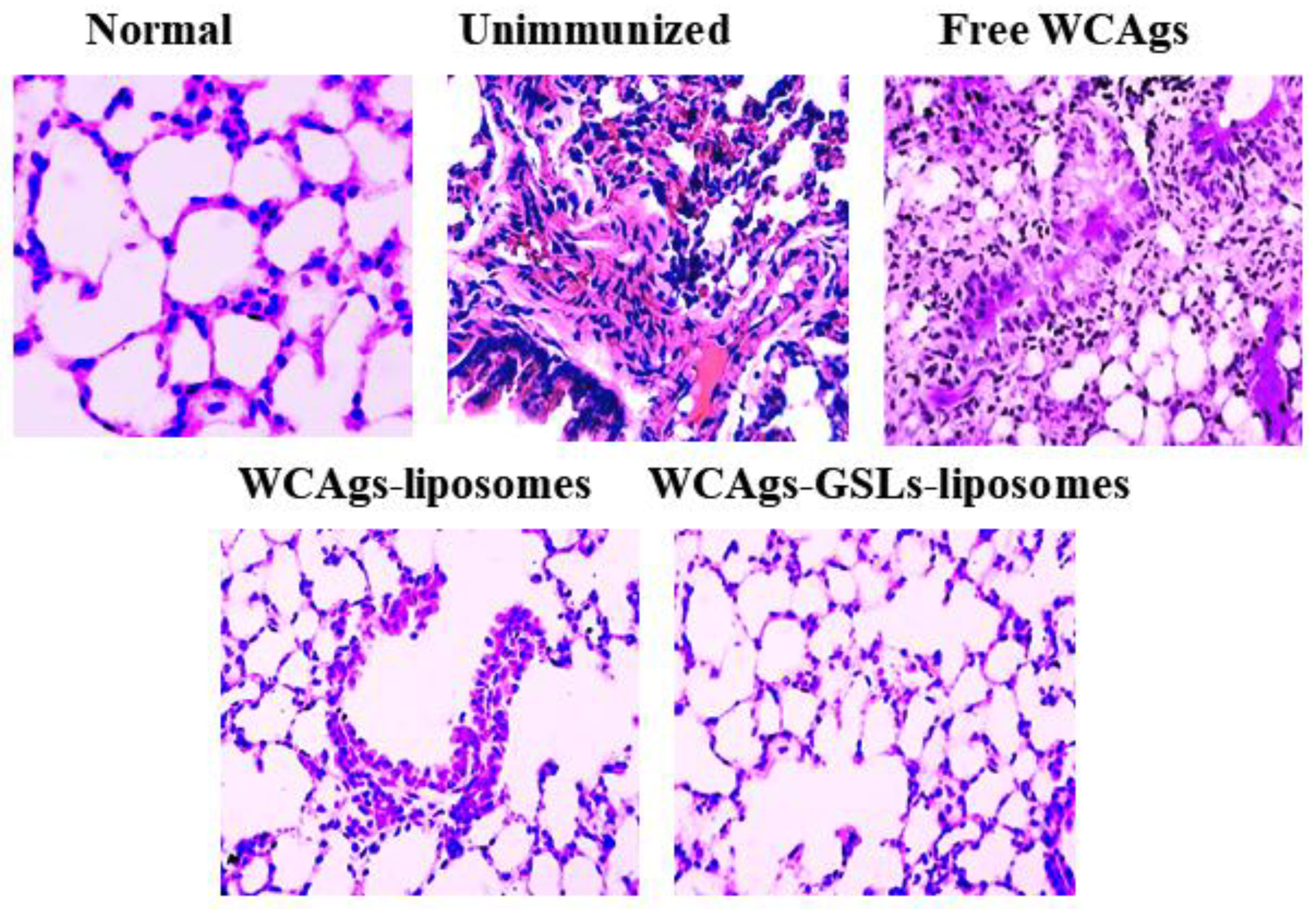 Molecules 27 07790 g009 Molecules 27 07790 g009