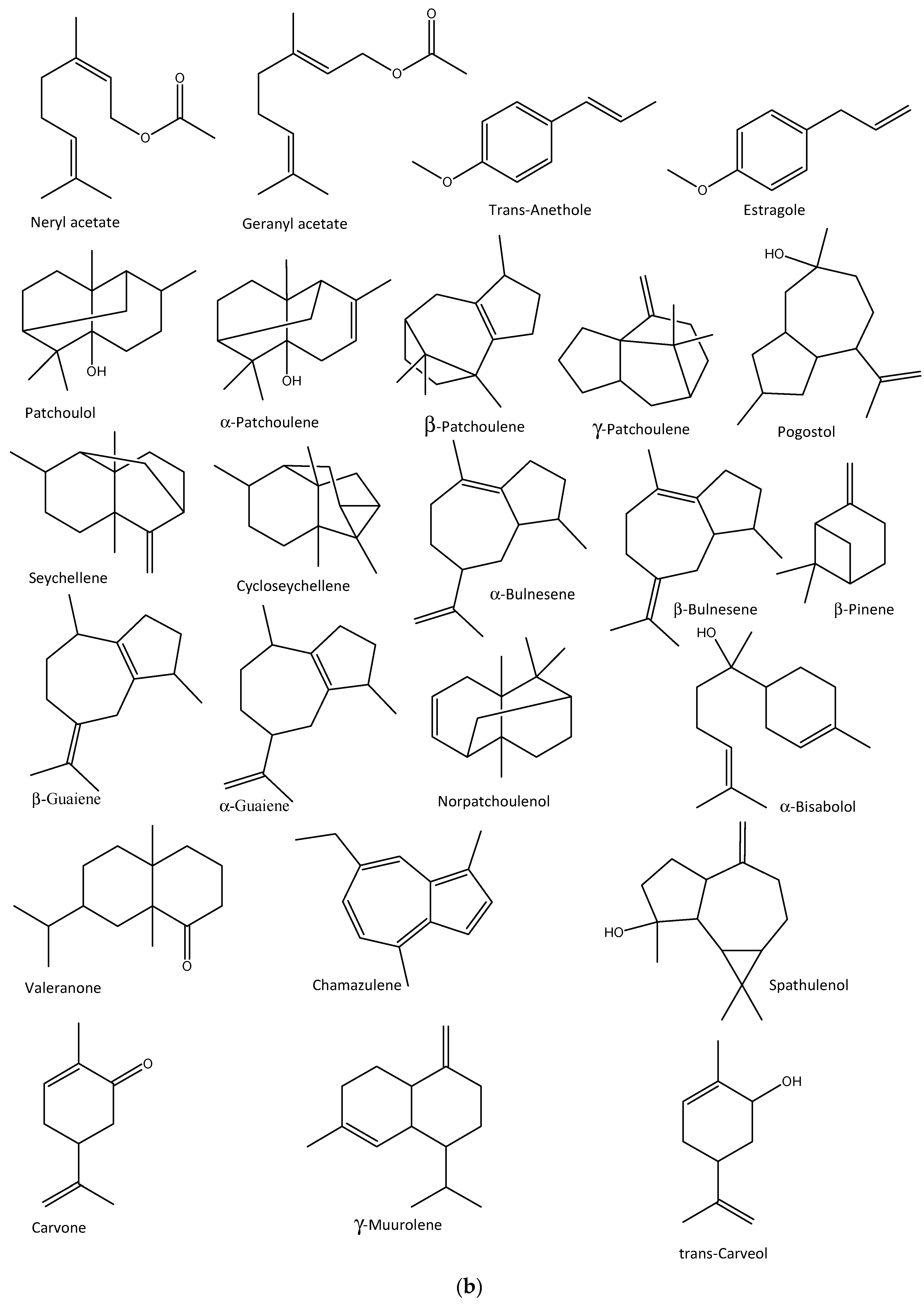 Molecules 27 07797 g003b Molecules 27 07797 g003b