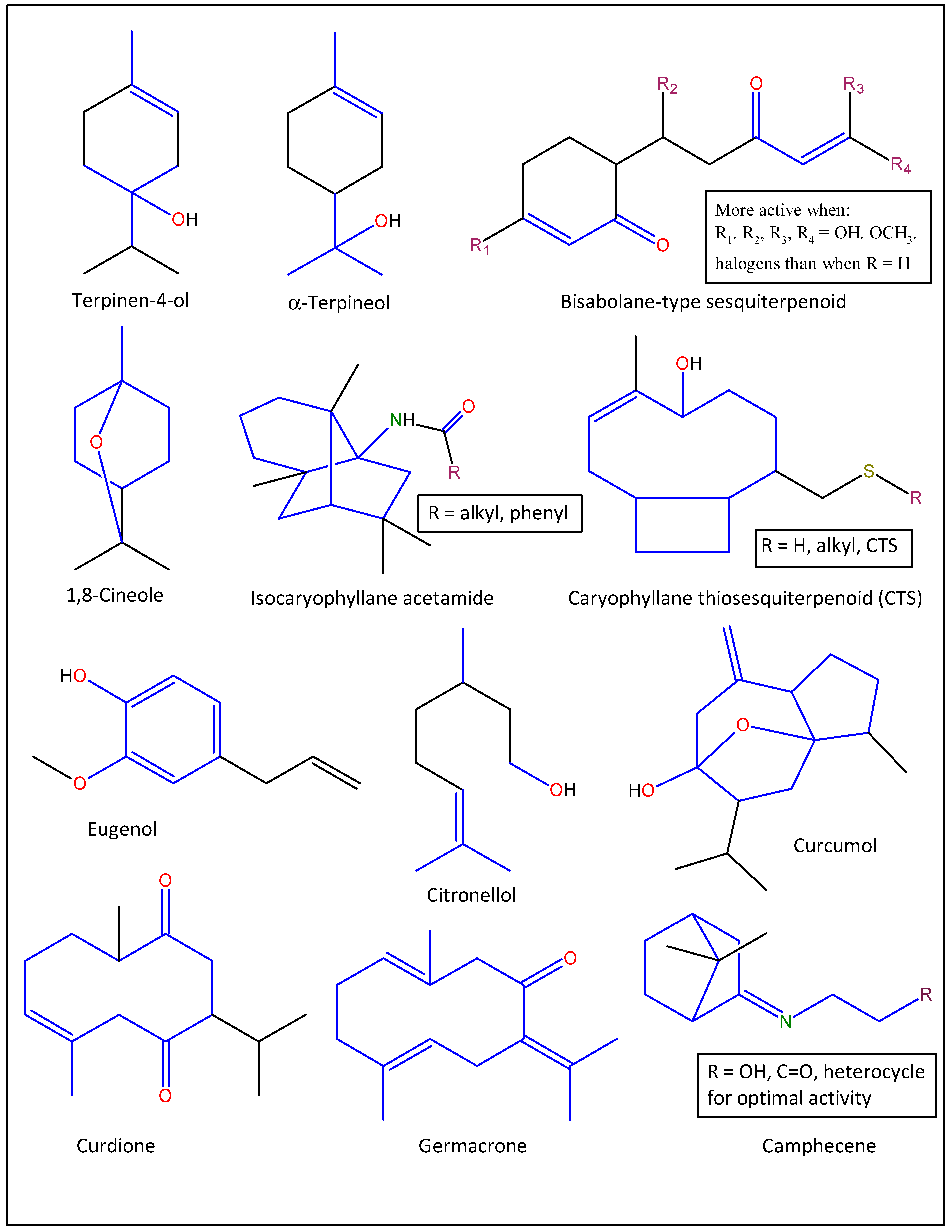 Molecules 27 07797 g006 Molecules 27 07797 g006