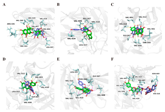 Modulation of redox-sensitive transcription factors with