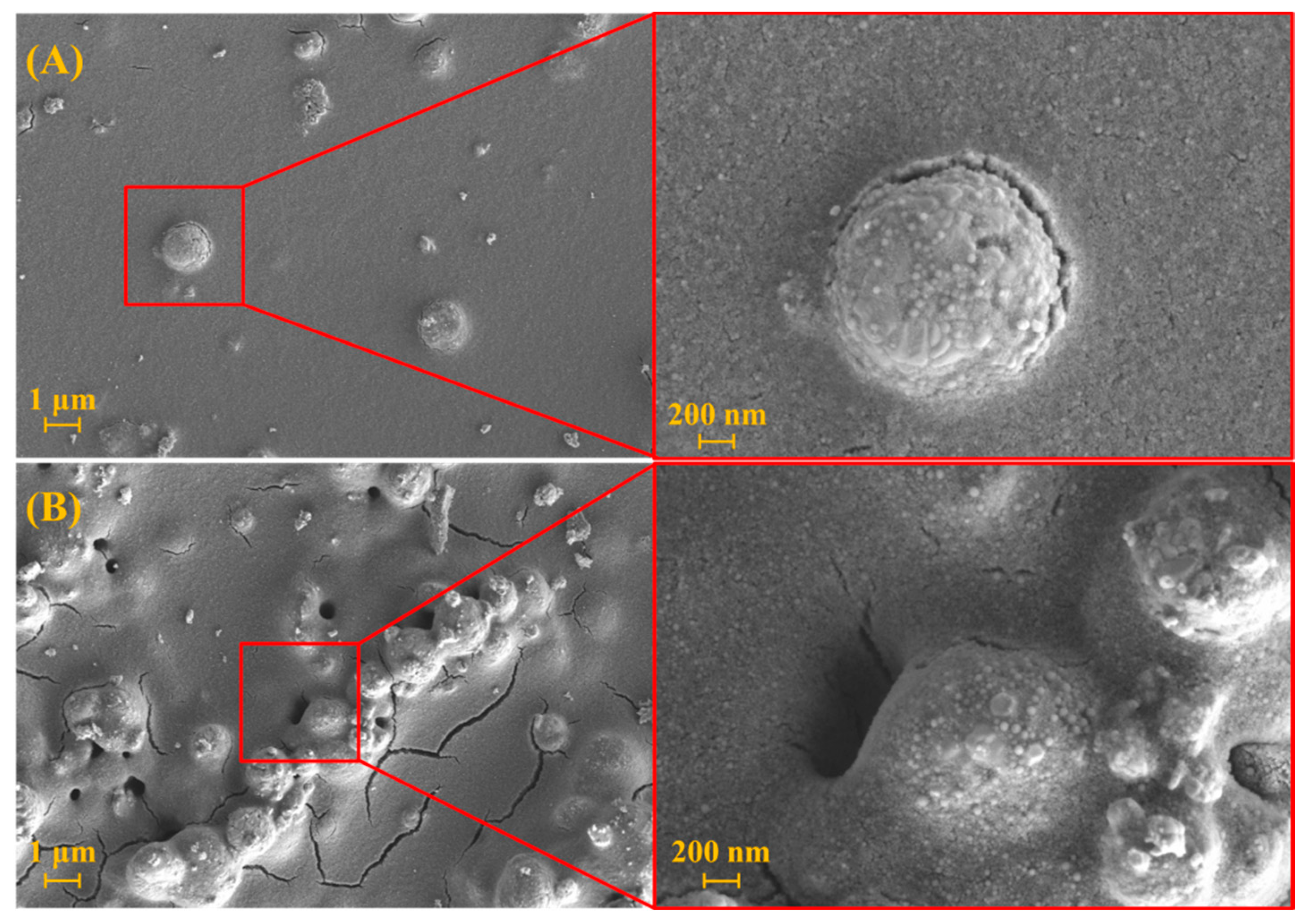 Molecules 27 07806 g002 Molecules 27 07806 g002
