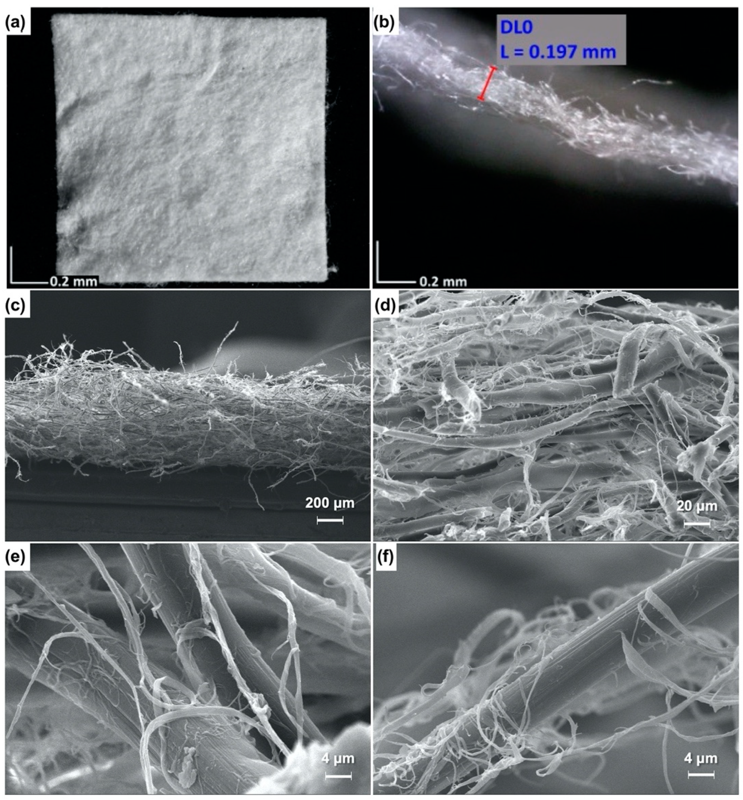 Molecules 27 07808 g004