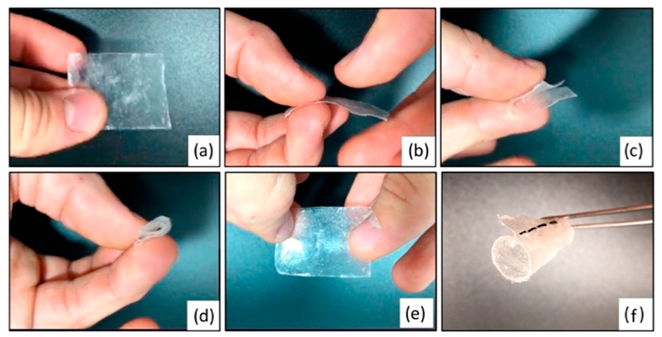 Molecules 27 07808 g005