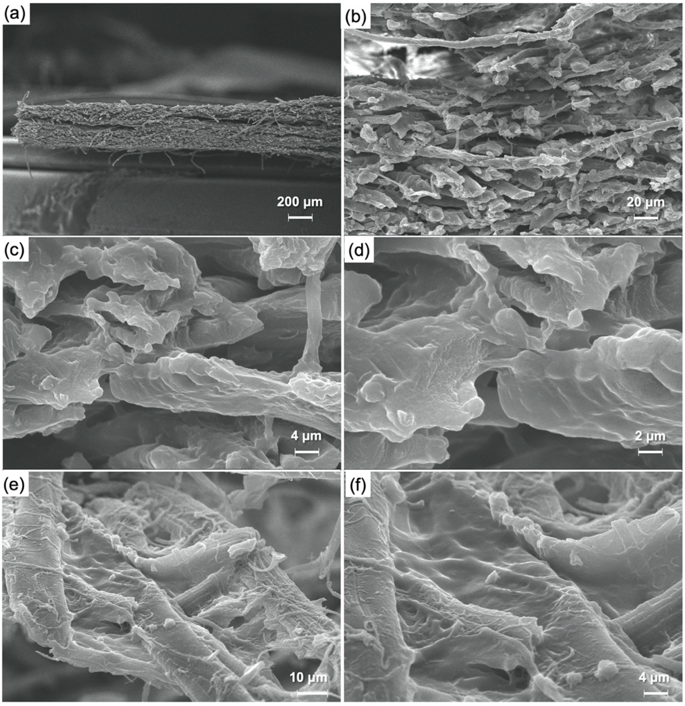 Molecules 27 07808 g006