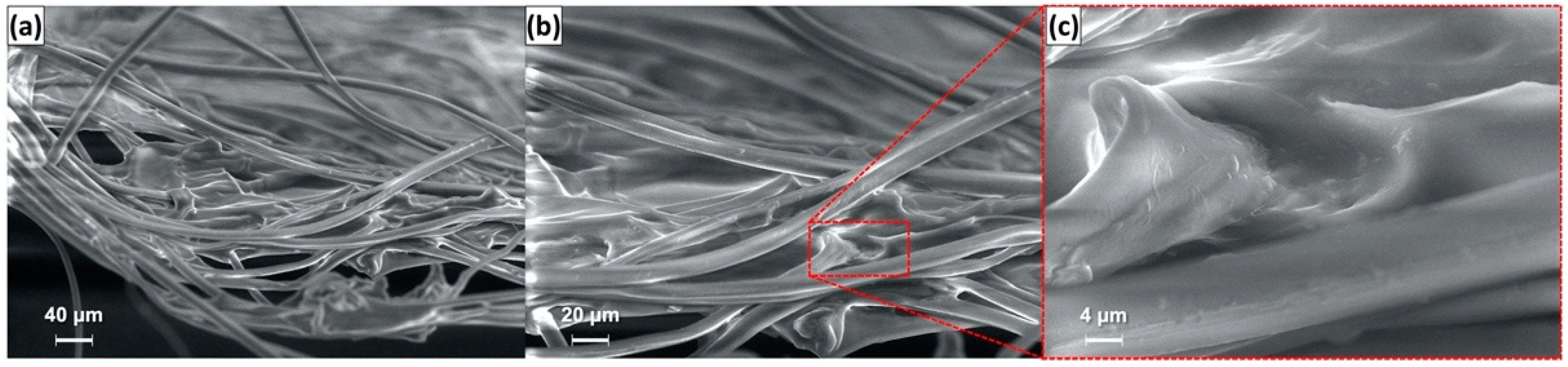 Molecules 27 07808 g011
