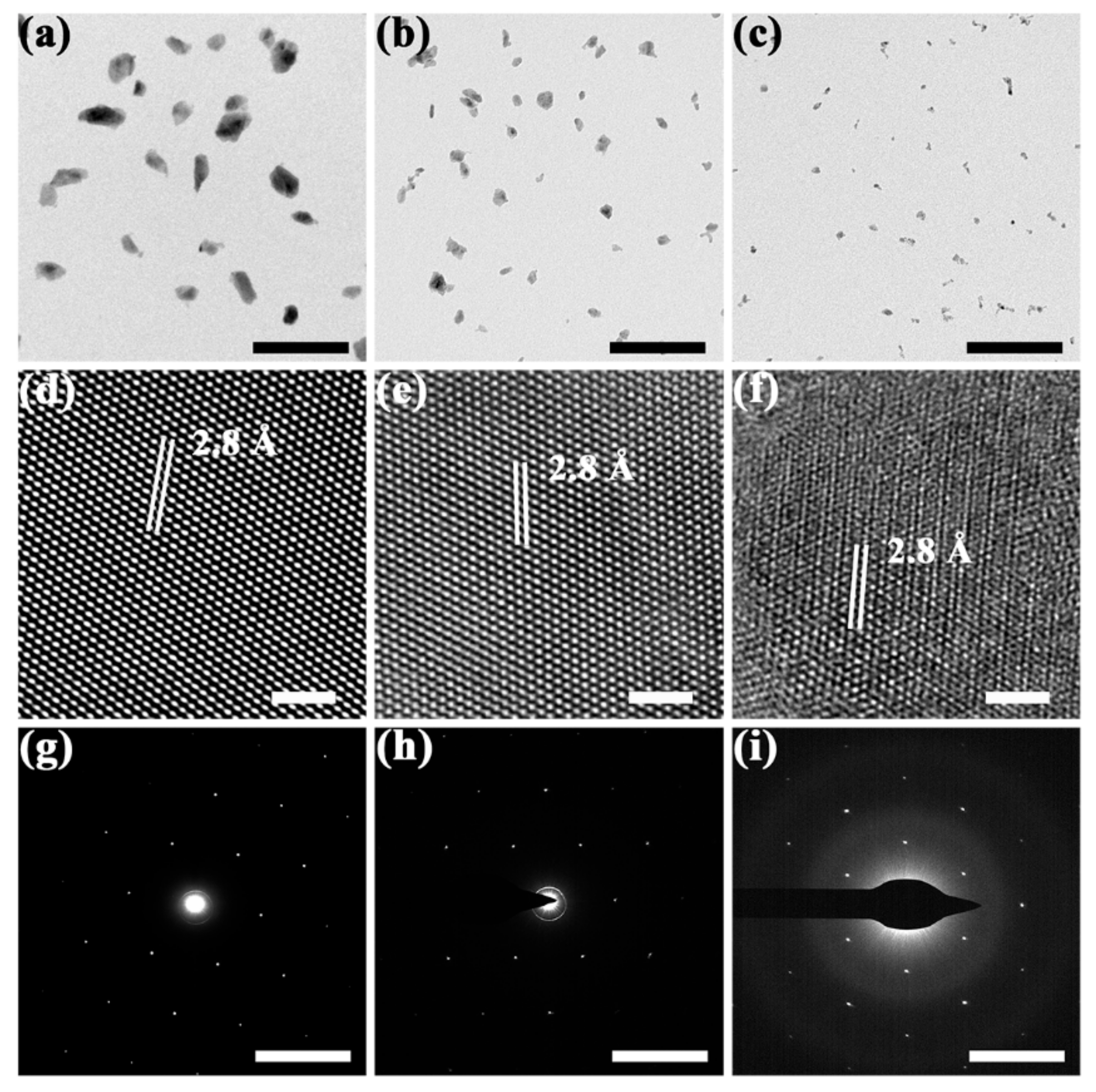 Molecules 27 07810 g001 Molecules 27 07810 g001