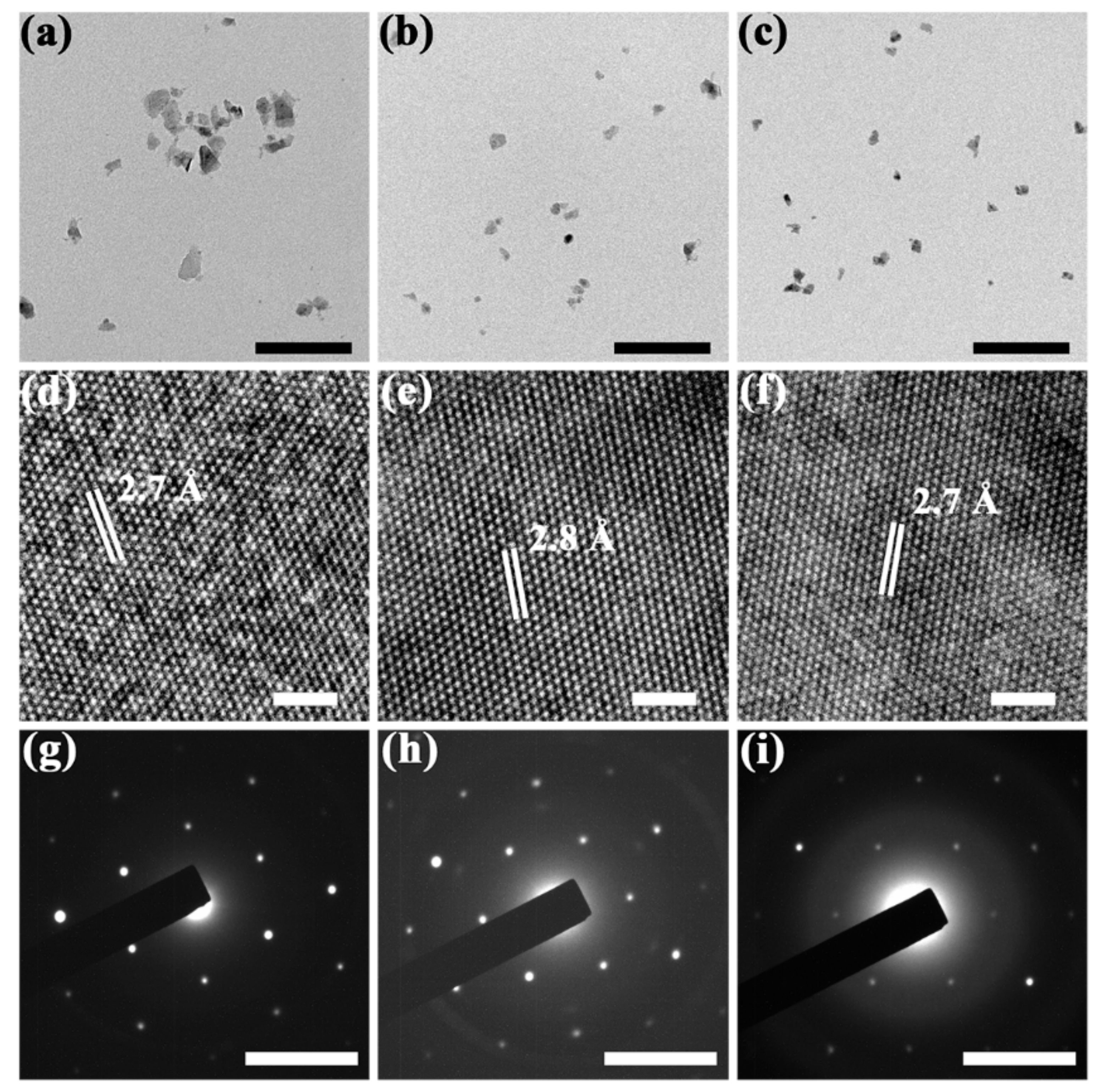 Molecules 27 07810 g004 Molecules 27 07810 g004