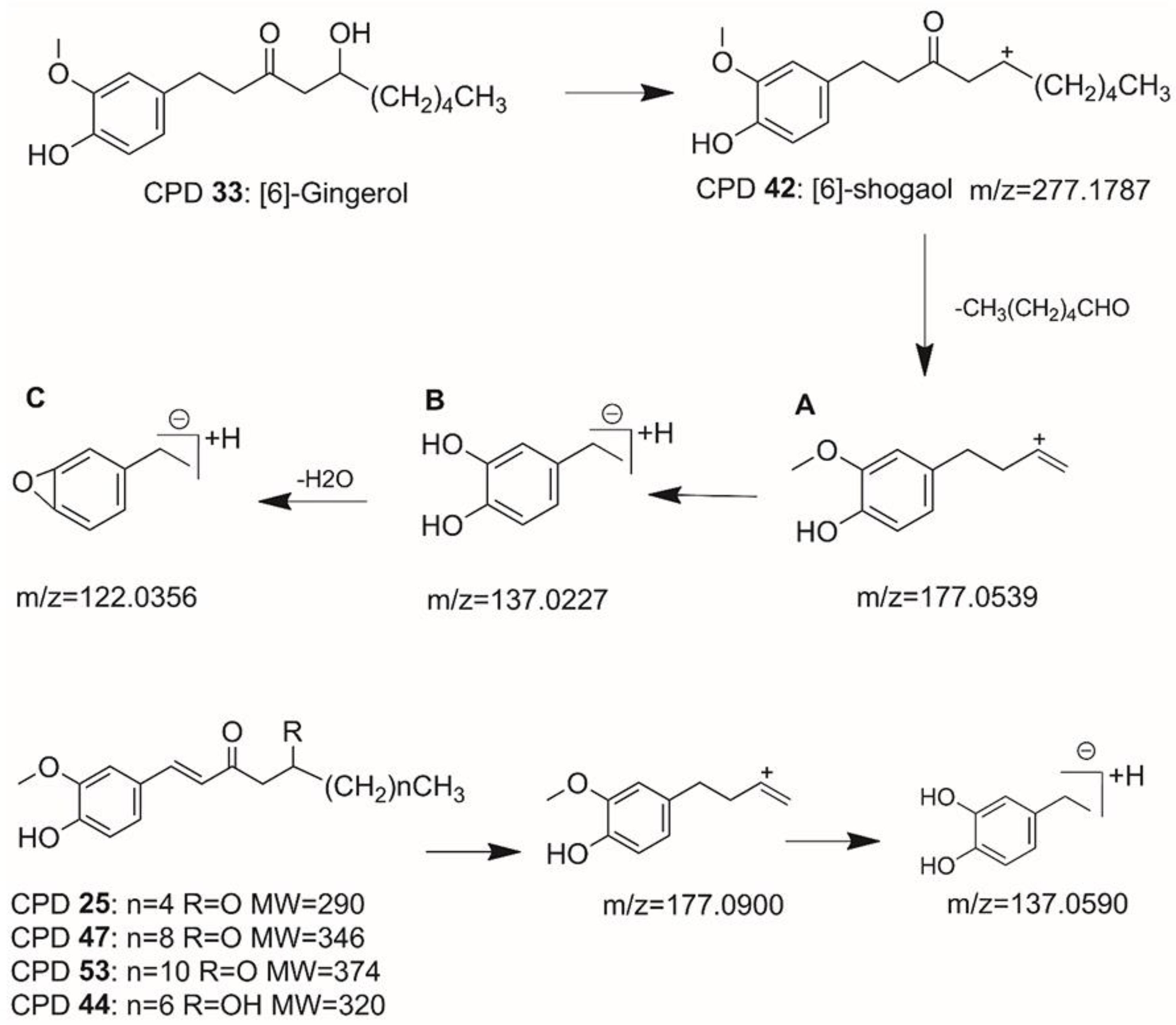Molecules 27 07818 g004