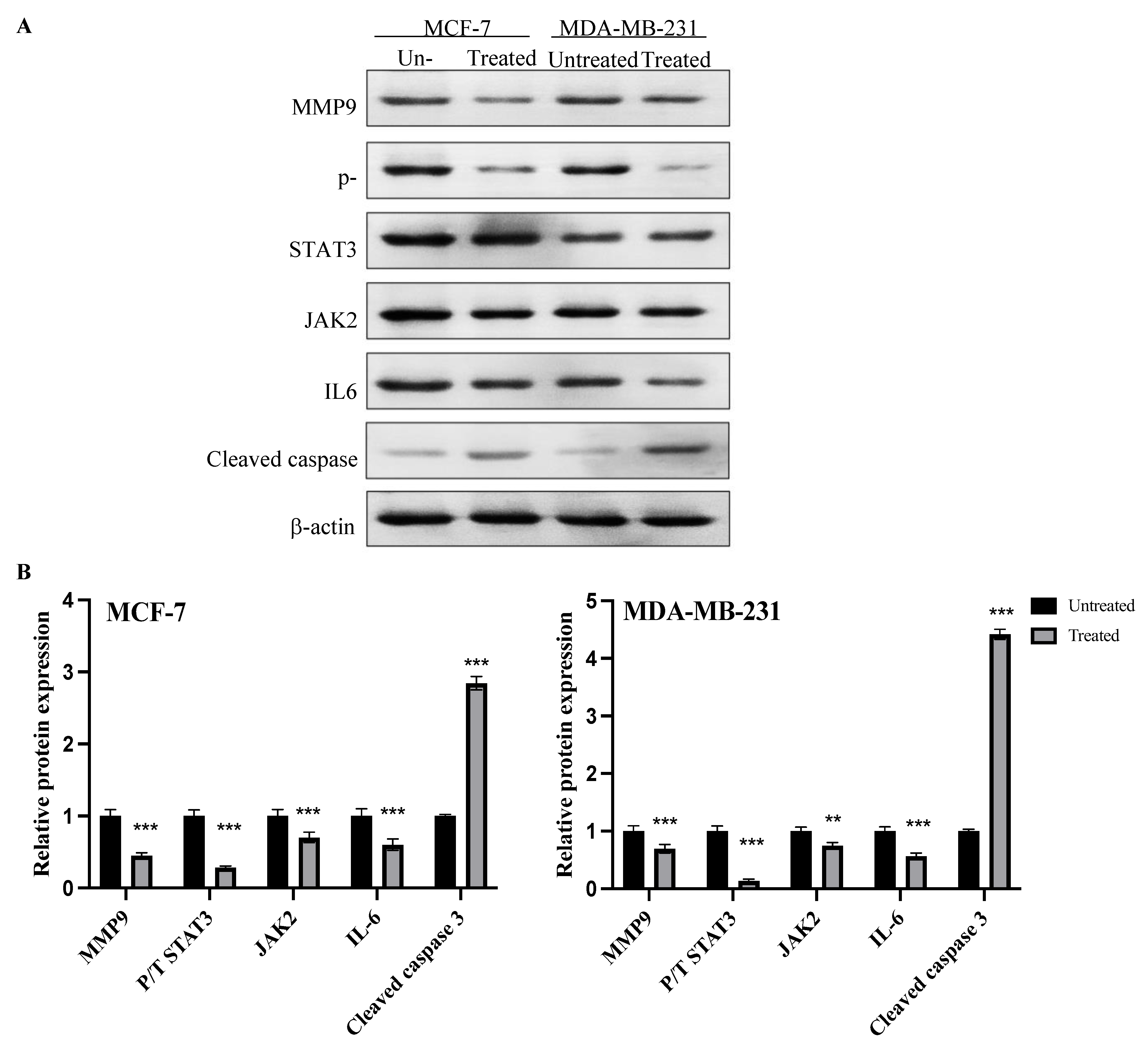 Molecules 27 07825 g008
