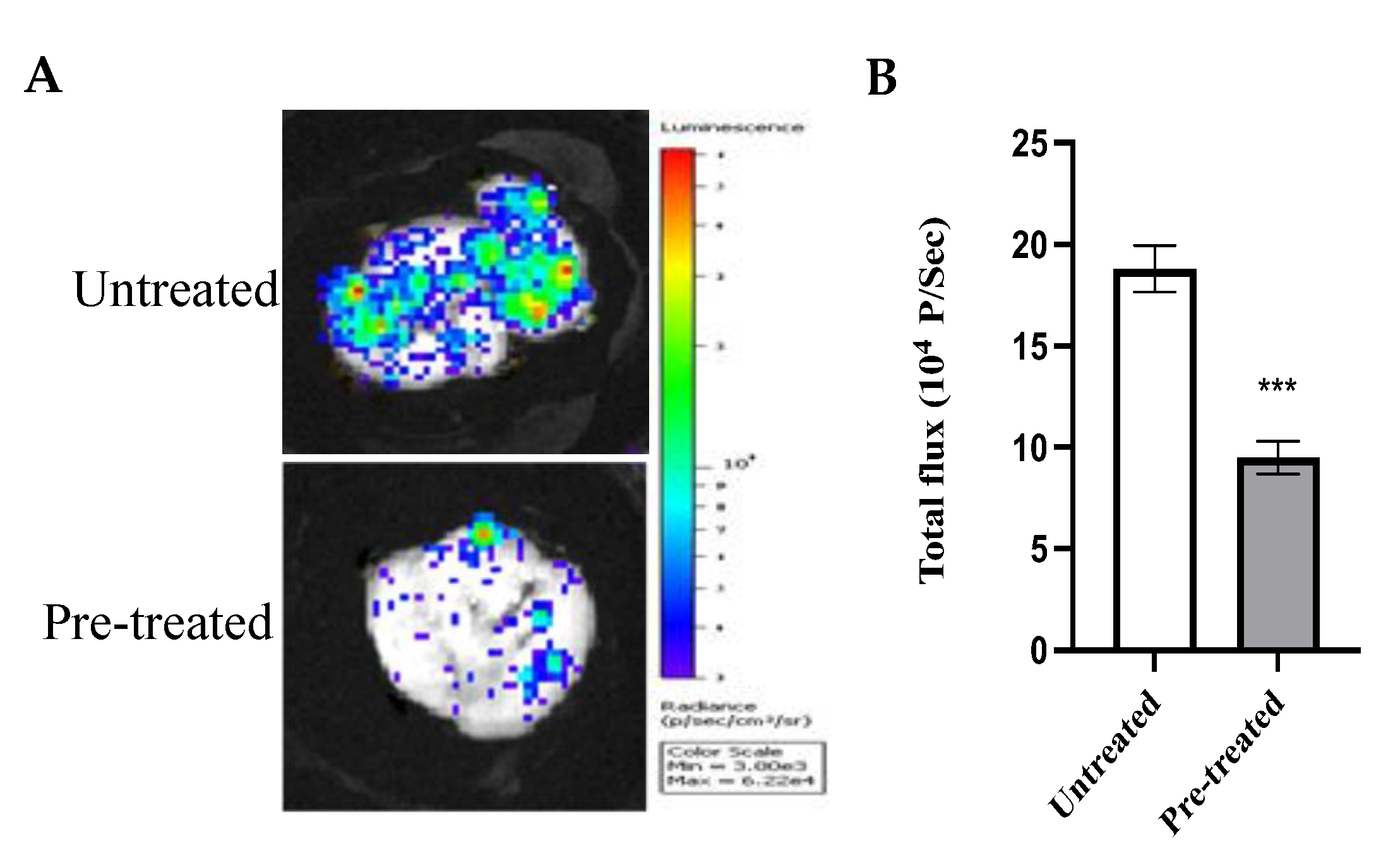 Molecules 27 07825 g010