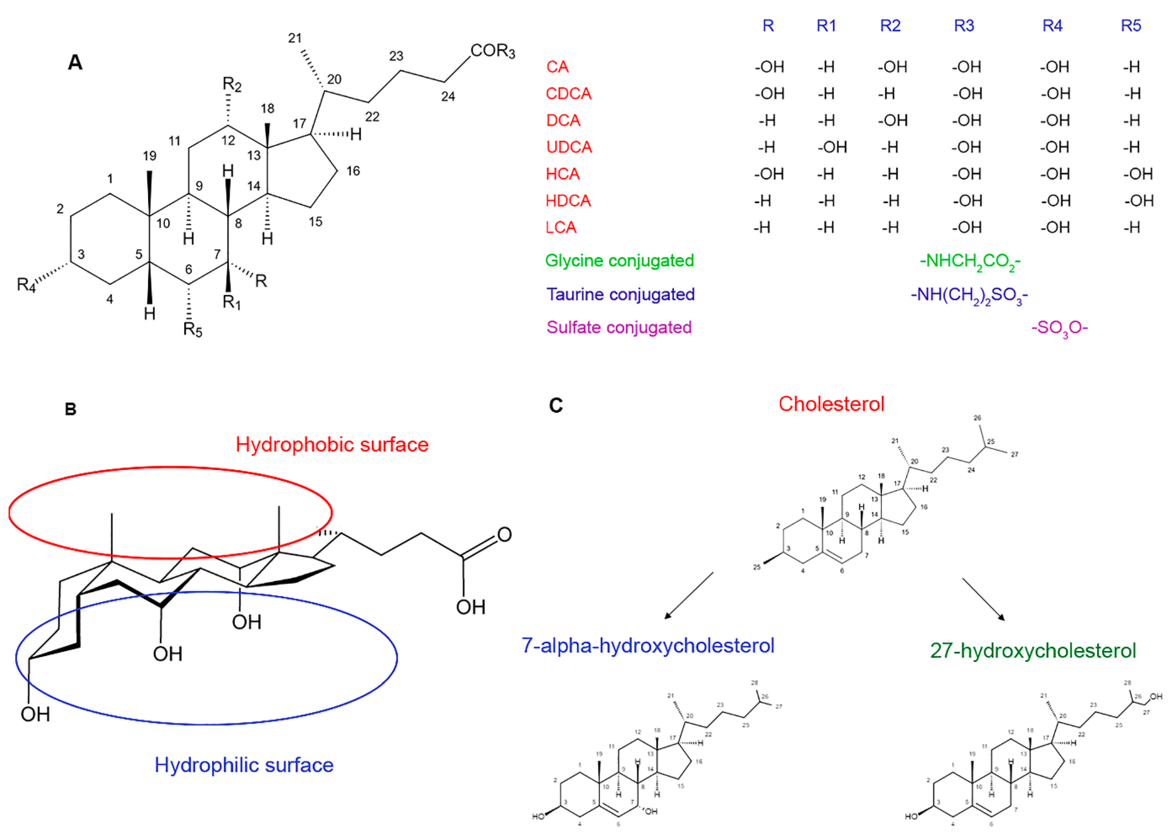 Molecules 27 07830 g001