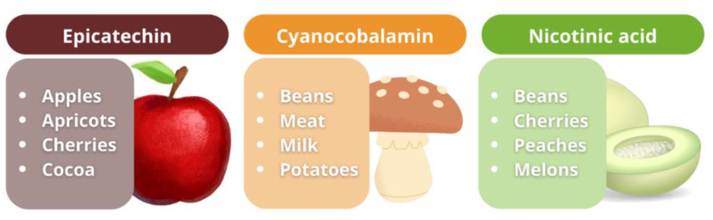 Molecules 27 07838 g001 Molecules 27 07838 g001