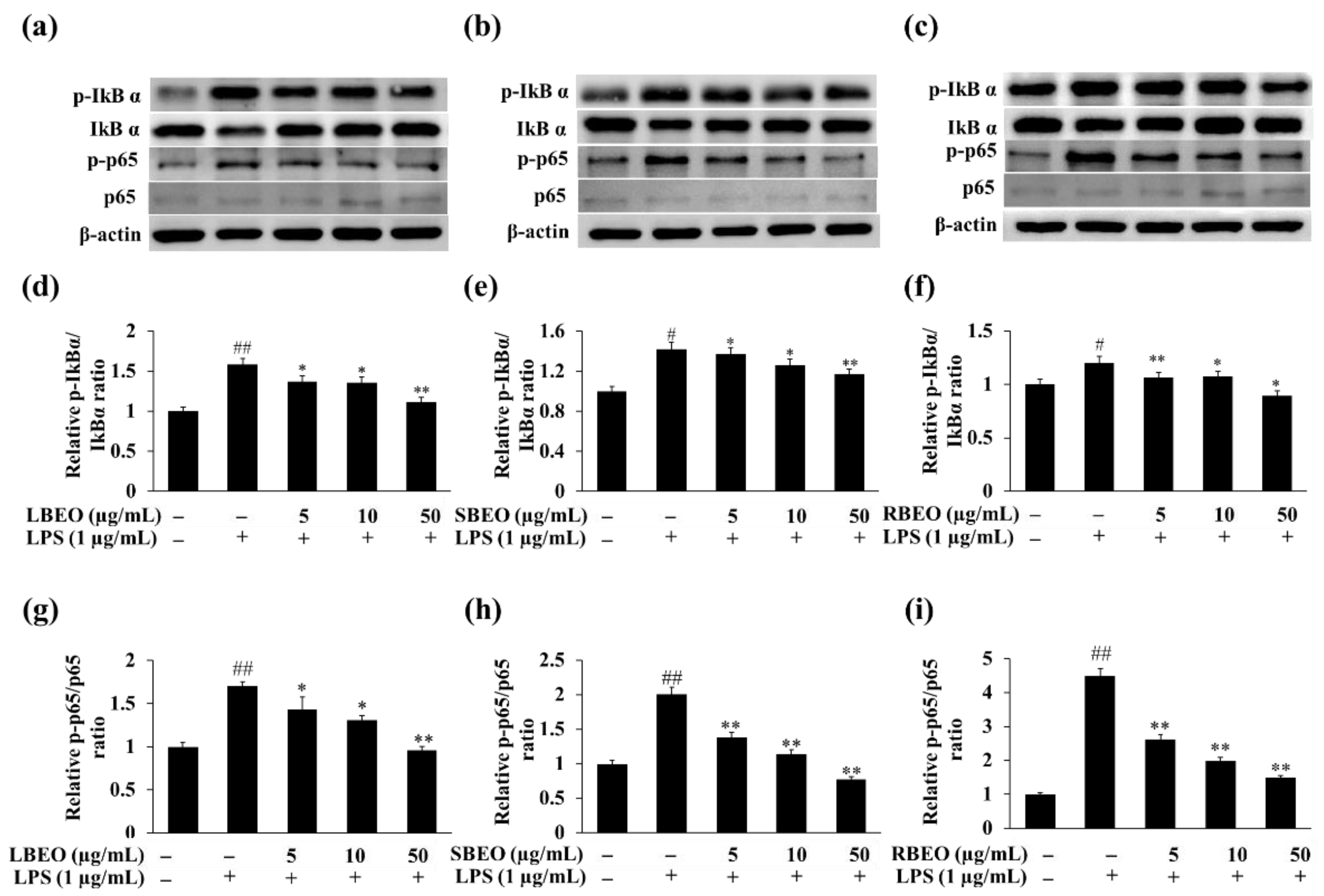 Molecules 27 07839 g007 Molecules 27 07839 g007