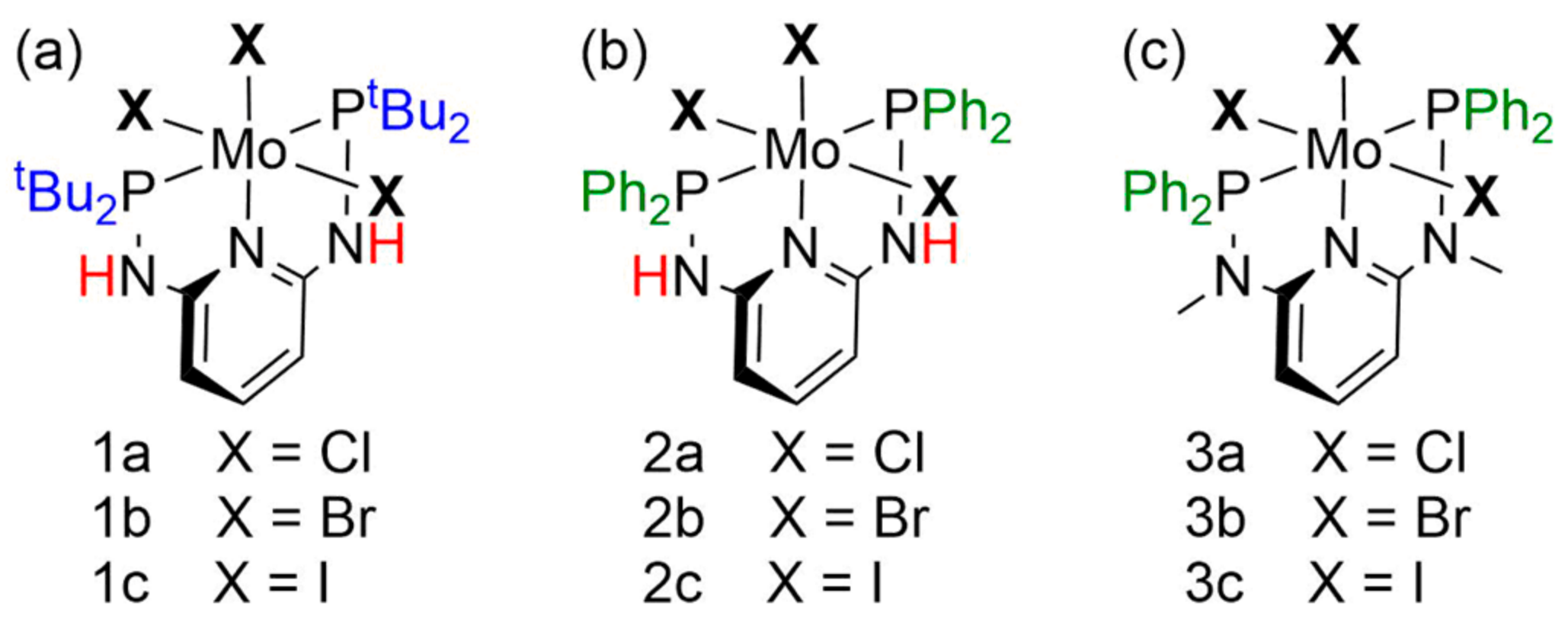 Molecules 27 07843 sch001 Molecules 27 07843 sch001