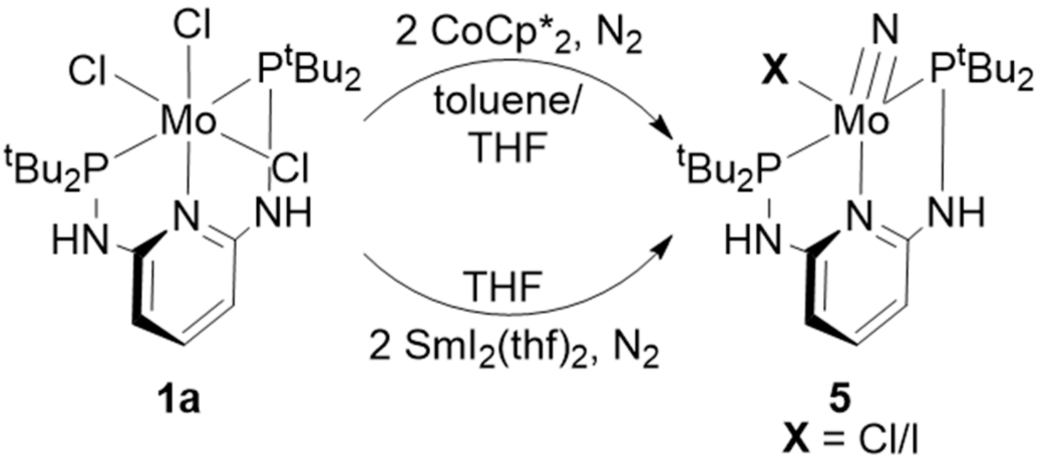 Molecules 27 07843 sch005 Molecules 27 07843 sch005