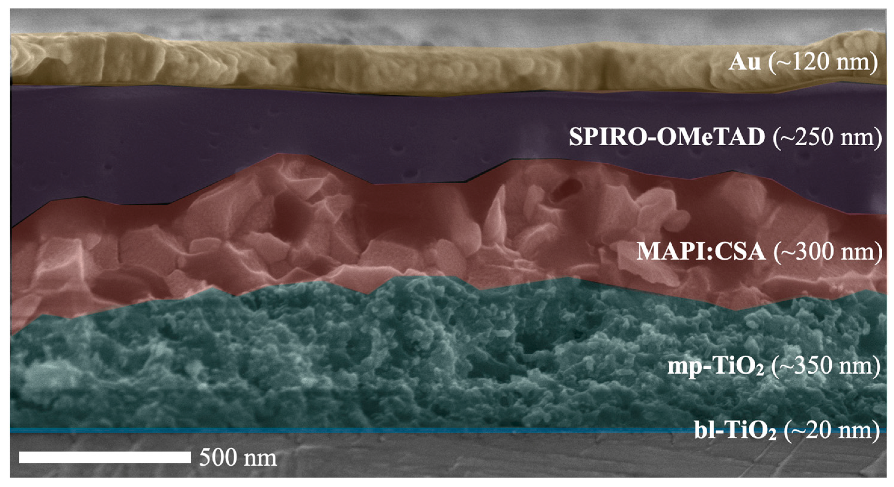 Molecules 27 07850 g005 Molecules 27 07850 g005