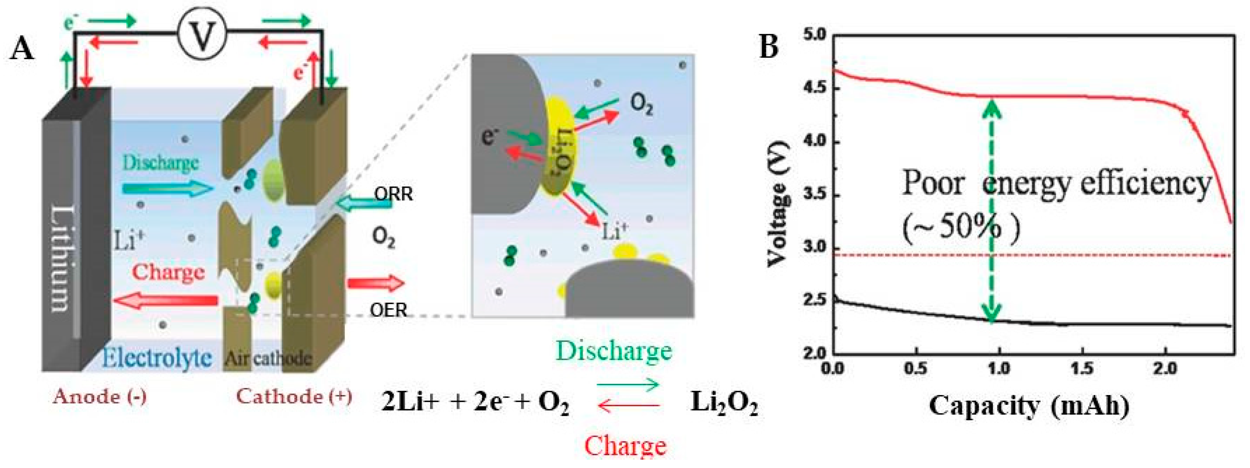 Molecules 27 07851 g002