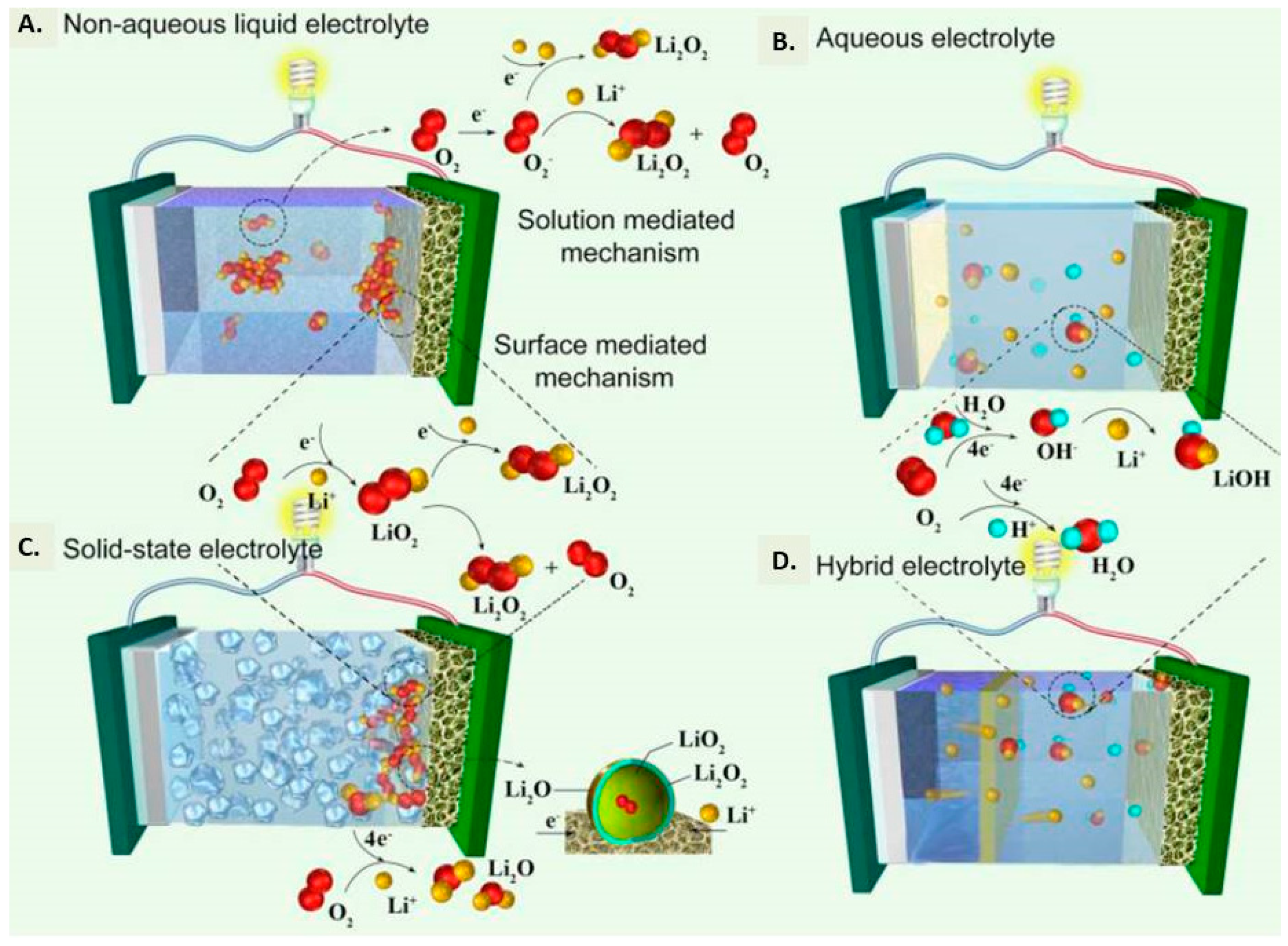 Molecules 27 07851 g004